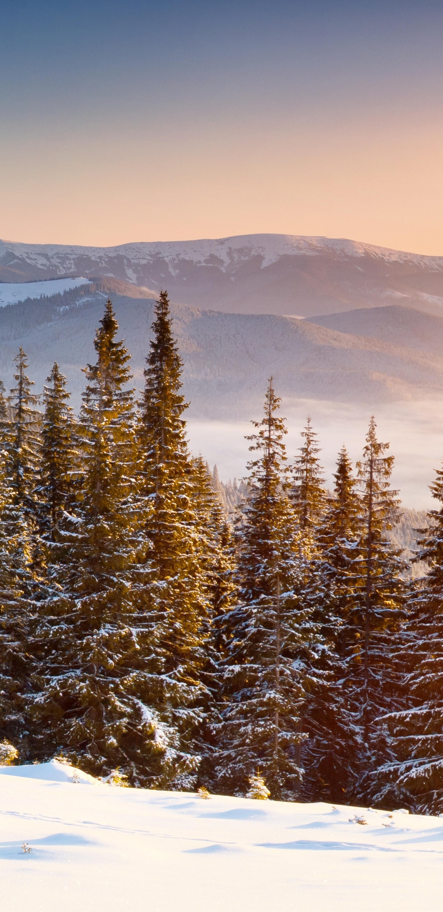 冬天, 多山的地貌, 荒野, 早上, 冻结 壁纸 1440x2960 允许