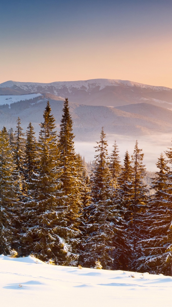 冬天, 多山的地貌, 荒野, 早上, 冻结 壁纸 720x1280 允许
