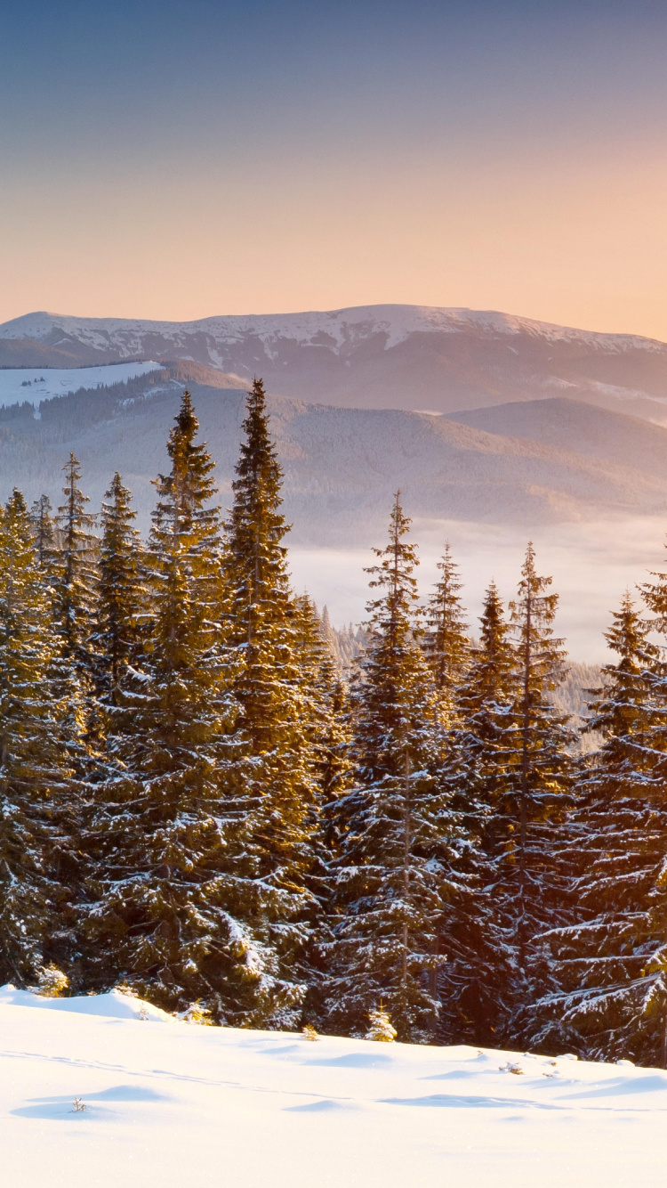 冬天, 多山的地貌, 荒野, 早上, 冻结 壁纸 750x1334 允许
