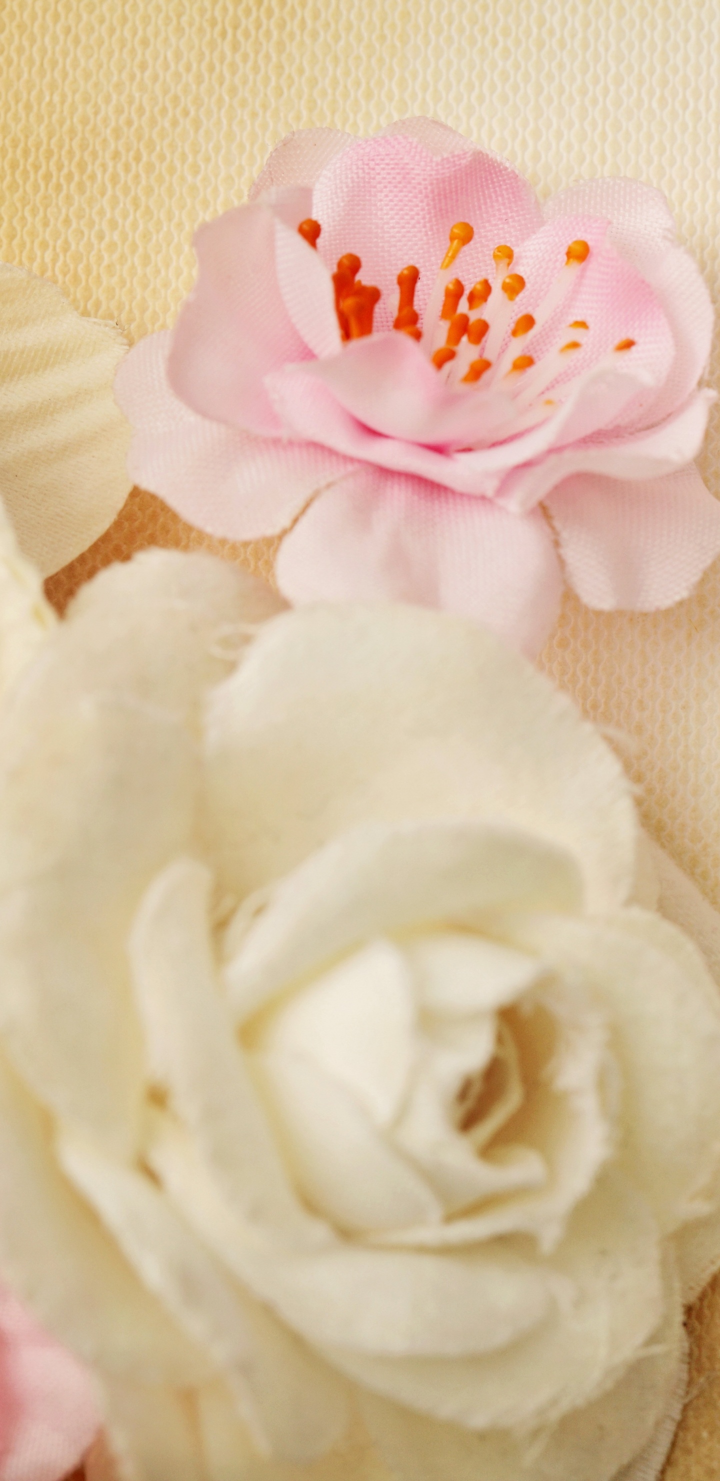 Flower, Wedding Ring, Ring, Wedding, Pink. Wallpaper in 1440x2960 Resolution