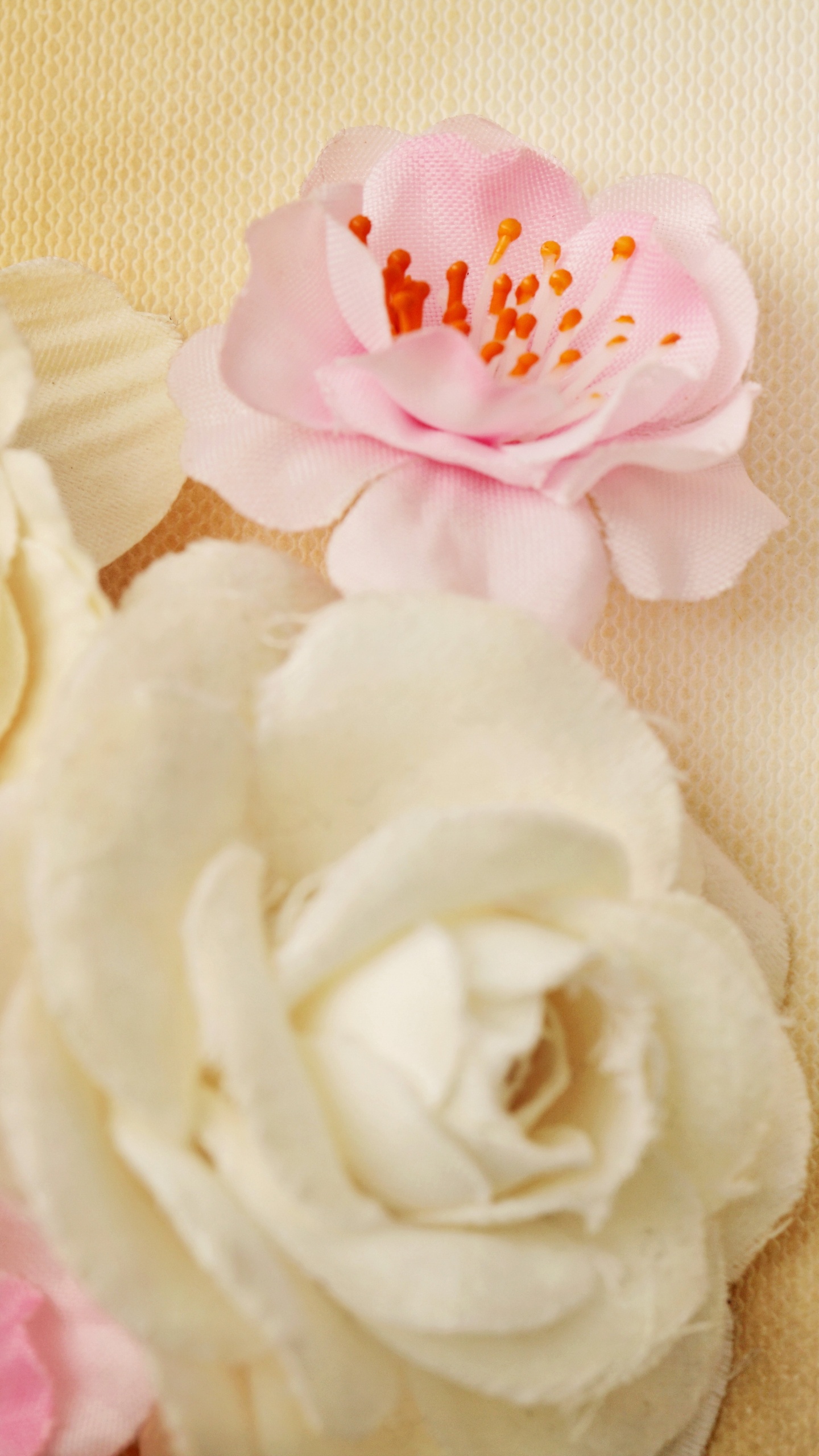 Bague de Mariage, Anneau, Pink, Pétale, Roses. Wallpaper in 1440x2560 Resolution