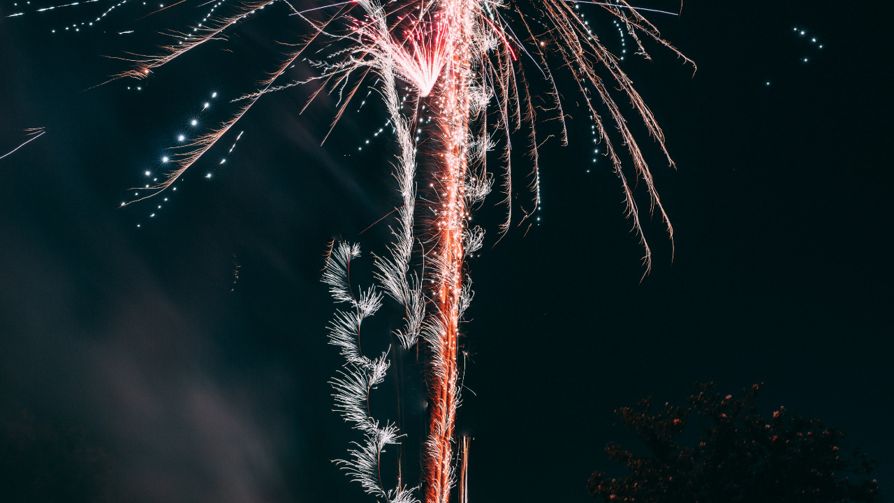 Feuerwerk, Neue Jahre Tag, Nacht, Veranstaltung, Baum. Wallpaper in 1280x720 Resolution