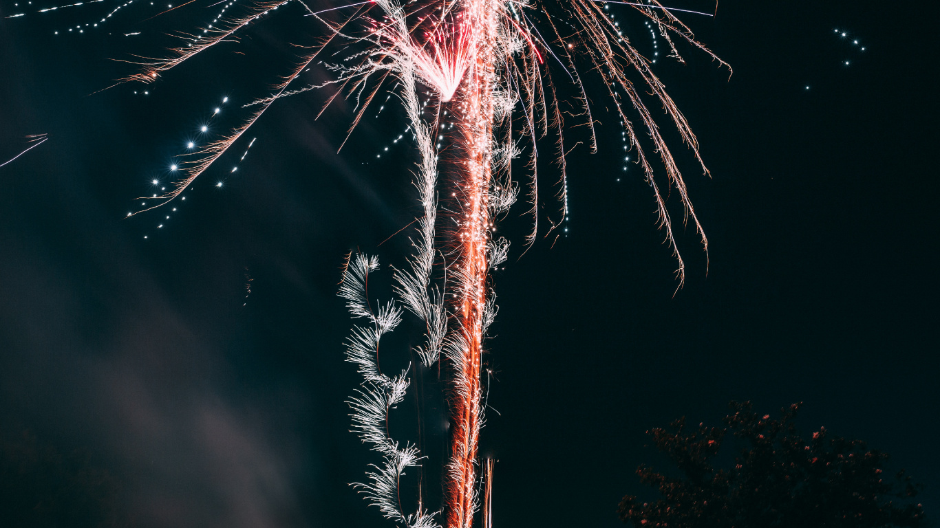 Feuerwerk, Neue Jahre Tag, Nacht, Veranstaltung, Baum. Wallpaper in 1366x768 Resolution