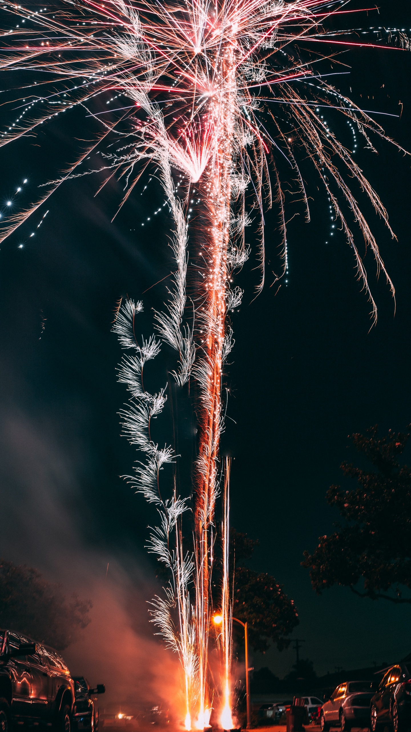 Feuerwerk, Neue Jahre Tag, Nacht, Veranstaltung, Baum. Wallpaper in 1440x2560 Resolution