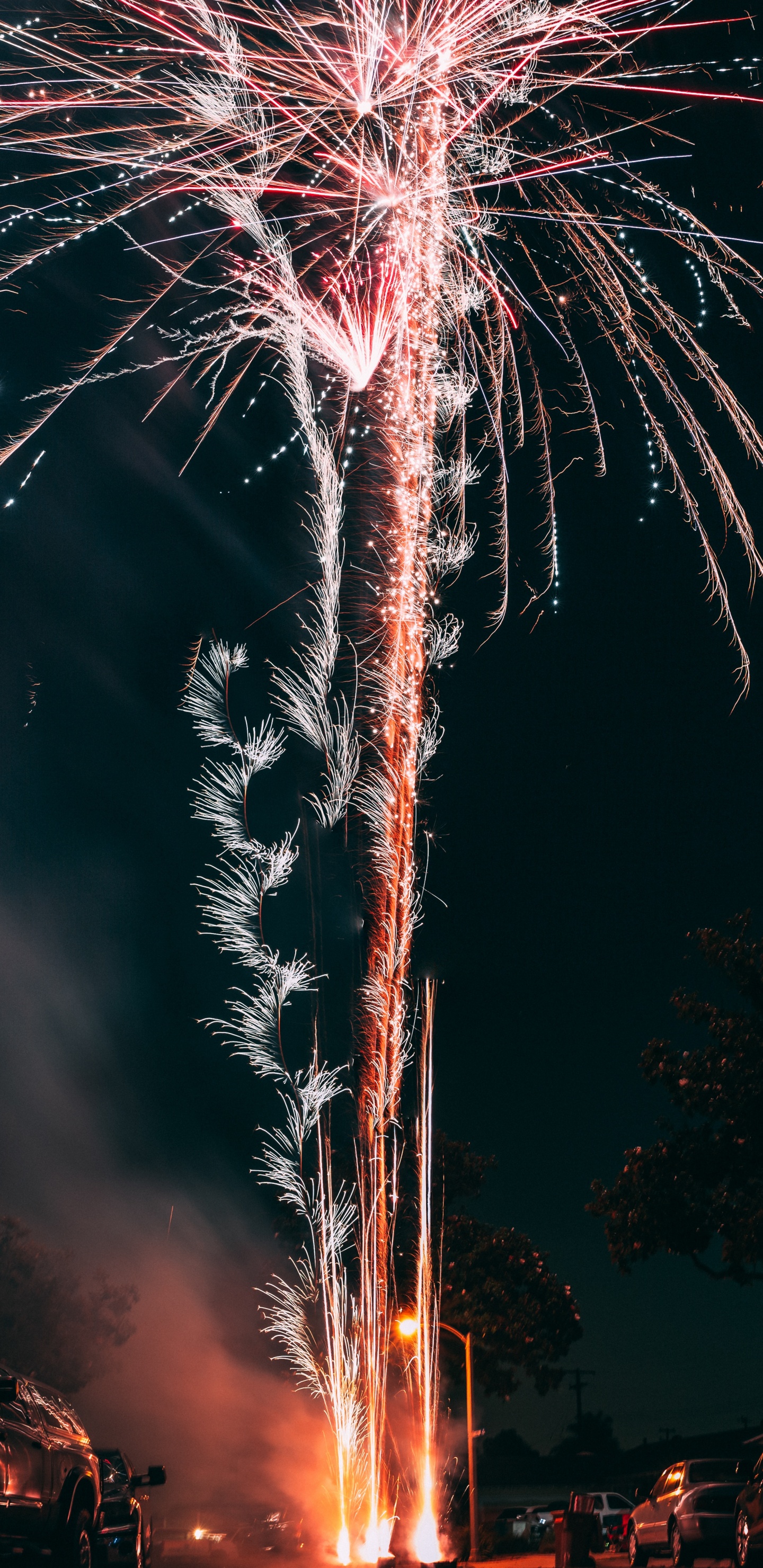 Feuerwerk, Neue Jahre Tag, Nacht, Veranstaltung, Baum. Wallpaper in 1440x2960 Resolution