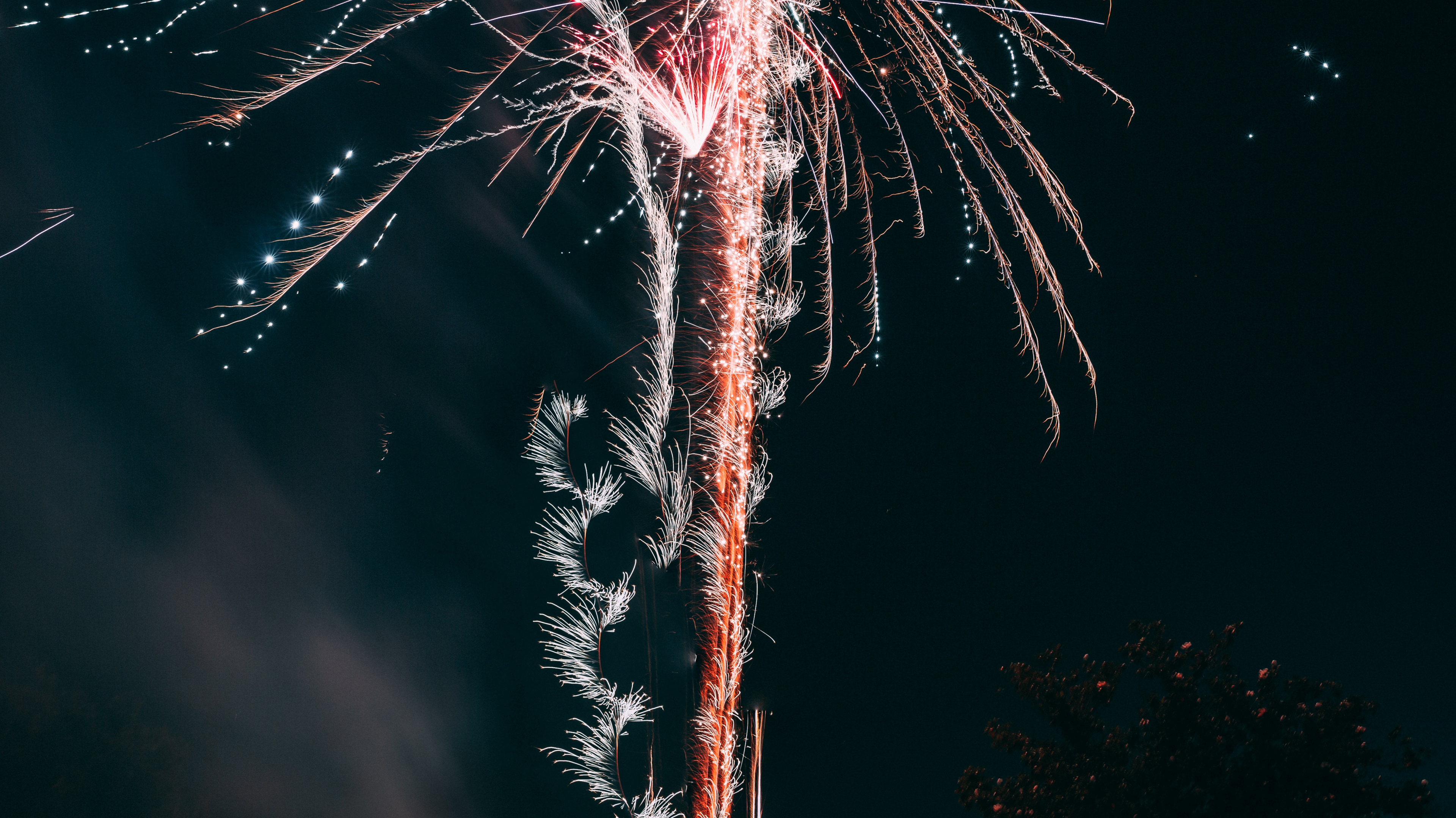 Feuerwerk, Neue Jahre Tag, Nacht, Veranstaltung, Baum. Wallpaper in 3840x2160 Resolution