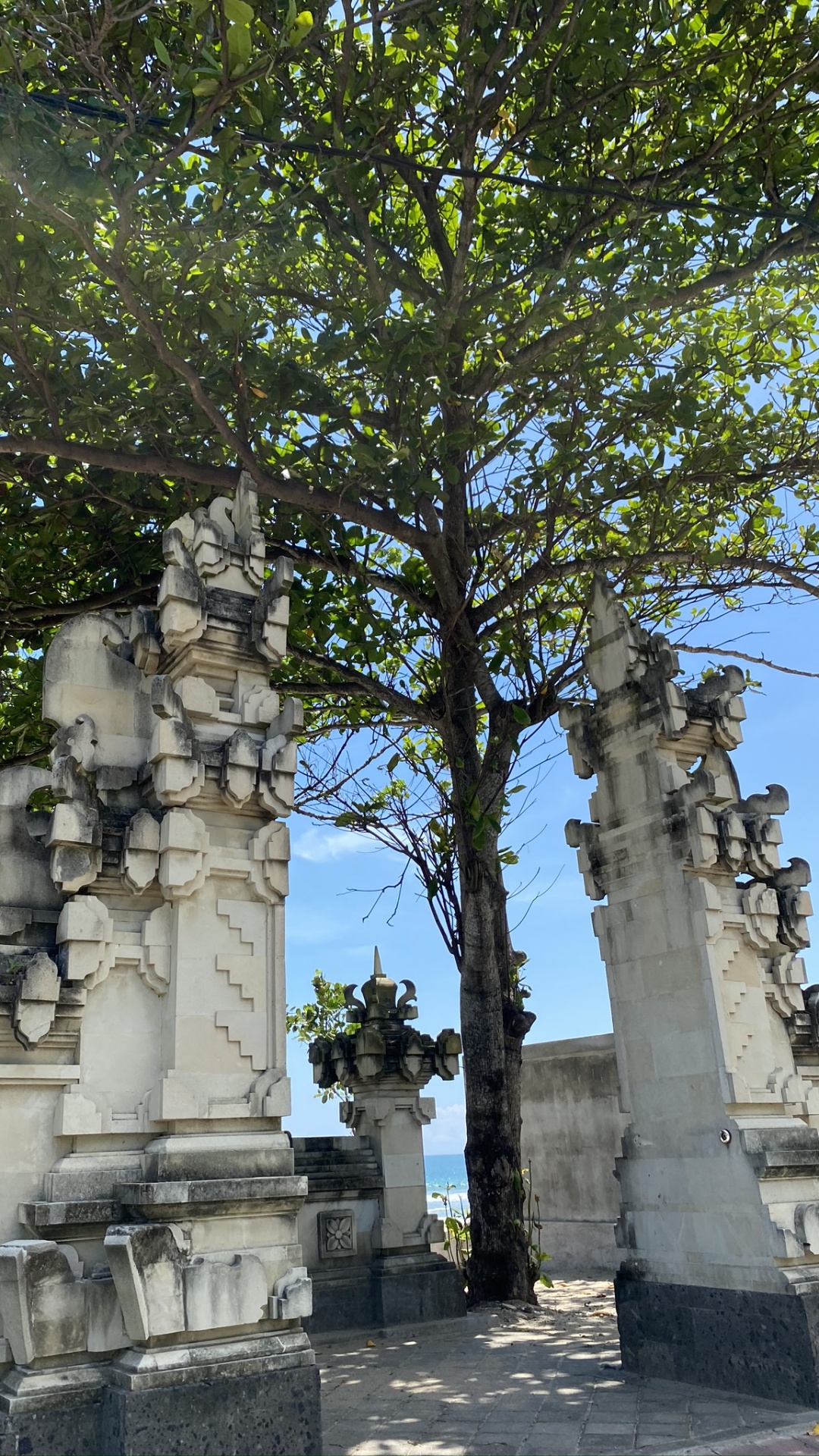 Indonesia, Bali, Estatua, la Historia Antigua, Planta Leñosa. Wallpaper in 1080x1920 Resolution