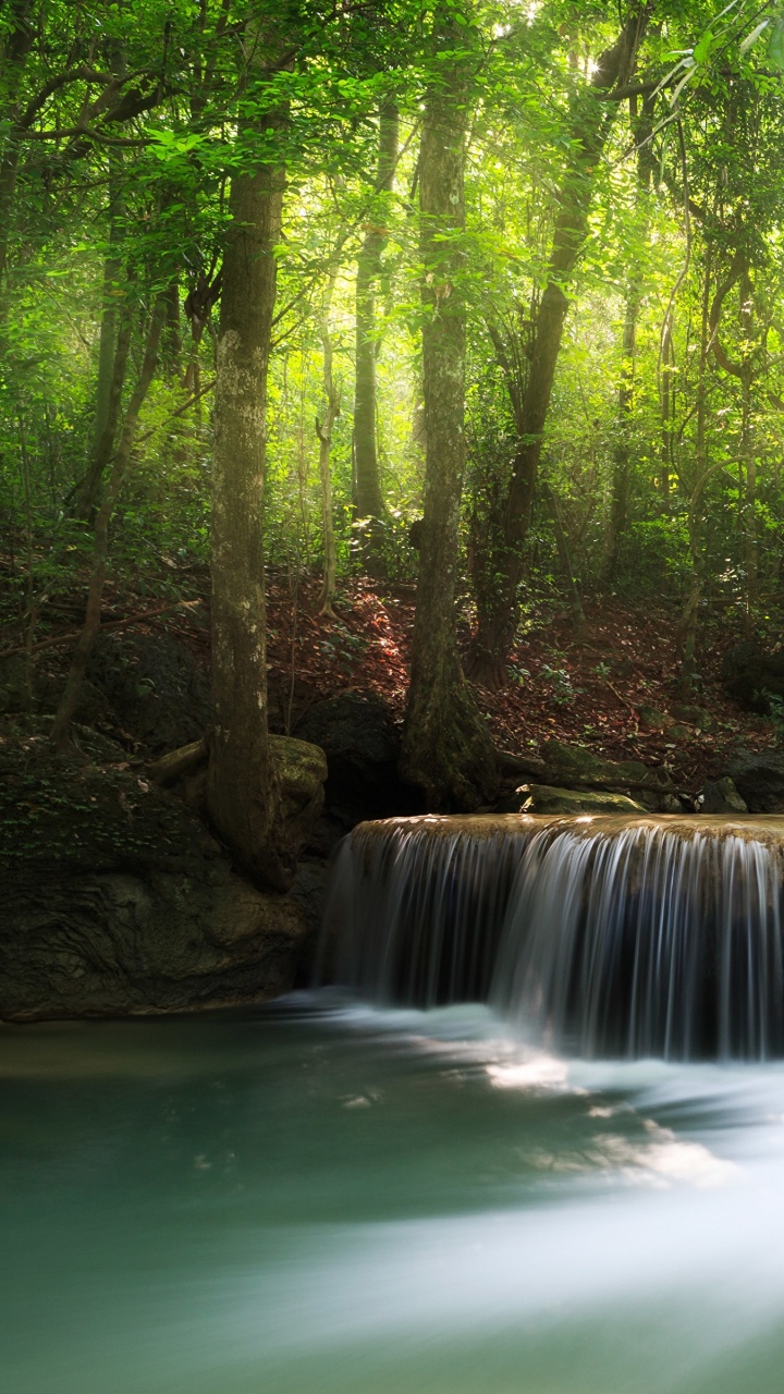 L'eau Tombe au Milieu Des Arbres Verts. Wallpaper in 720x1280 Resolution