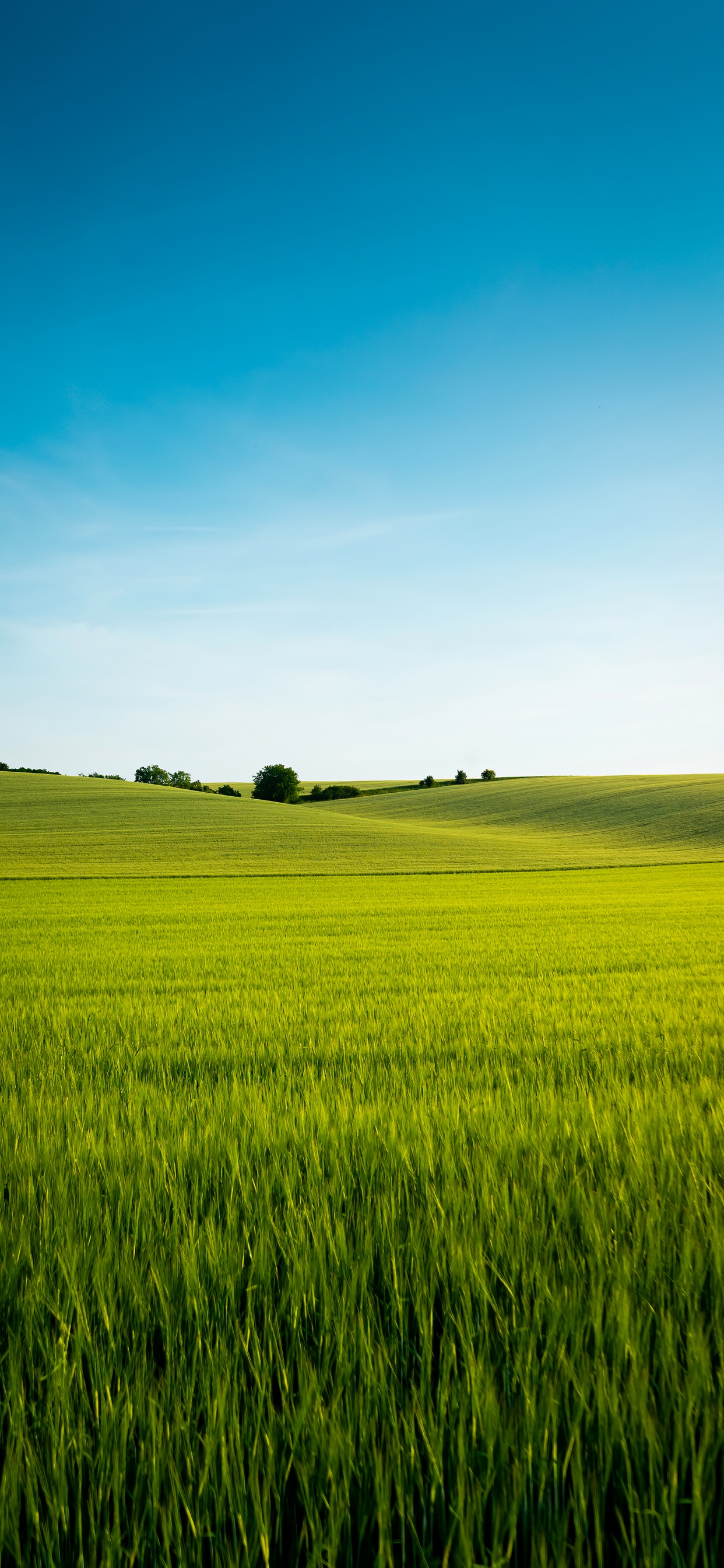 Chinesische Sprache, Menschen in Der Natur, Naturlandschaft, Cloud, Grundstück. Wallpaper in 1242x2688 Resolution