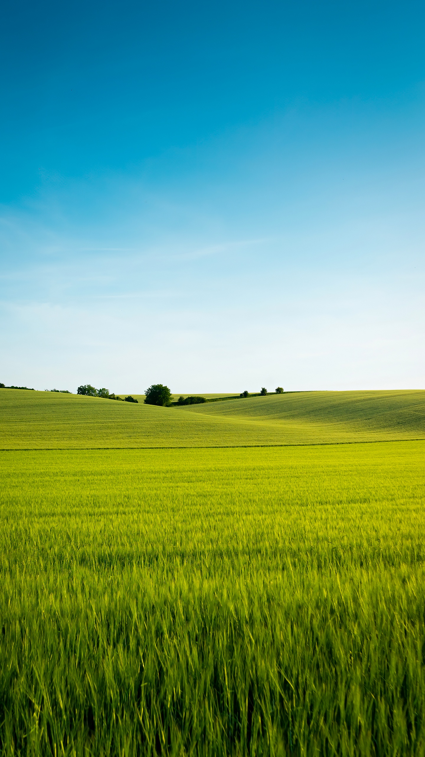 Chinesische Sprache, Menschen in Der Natur, Naturlandschaft, Cloud, Grundstück. Wallpaper in 1440x2560 Resolution
