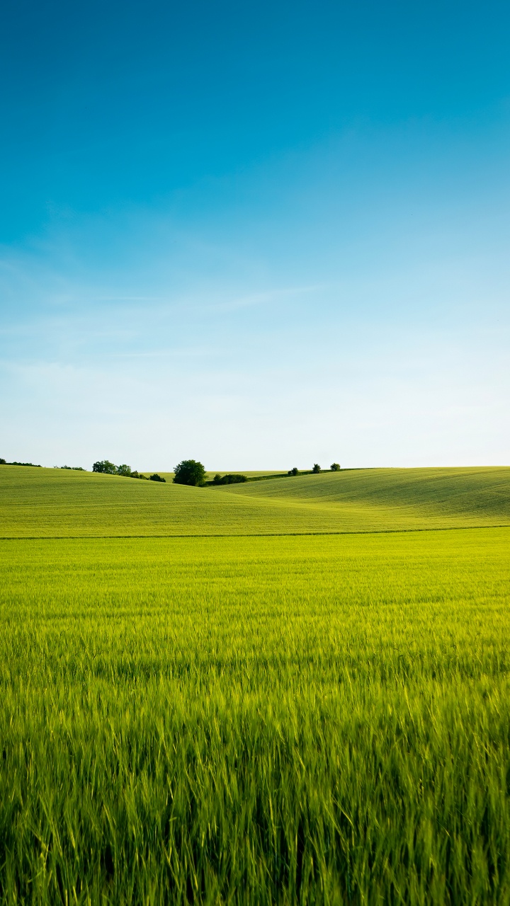 Langue Chinoise, Les Gens Dans la Nature, Paysage Naturel, Les Terres Beaucoup, Agriculture. Wallpaper in 720x1280 Resolution