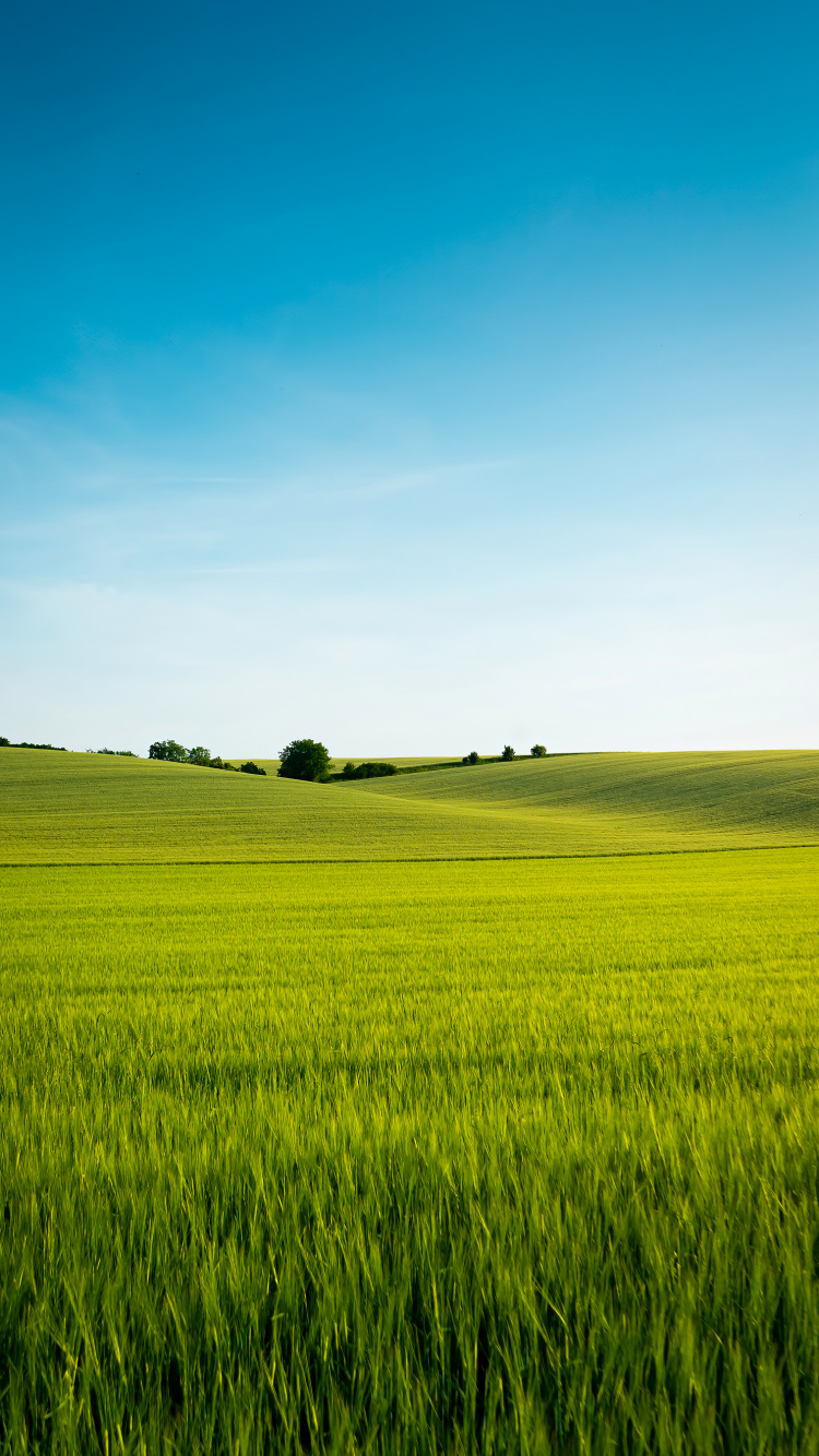 Langue Chinoise, Les Gens Dans la Nature, Paysage Naturel, Les Terres Beaucoup, Agriculture. Wallpaper in 750x1334 Resolution