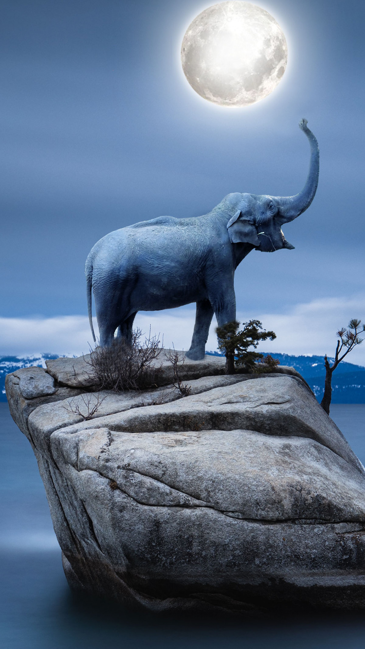 Eau, Lumière, Sculpture, Les Éléphants et Les Mammouths. Wallpaper in 750x1334 Resolution