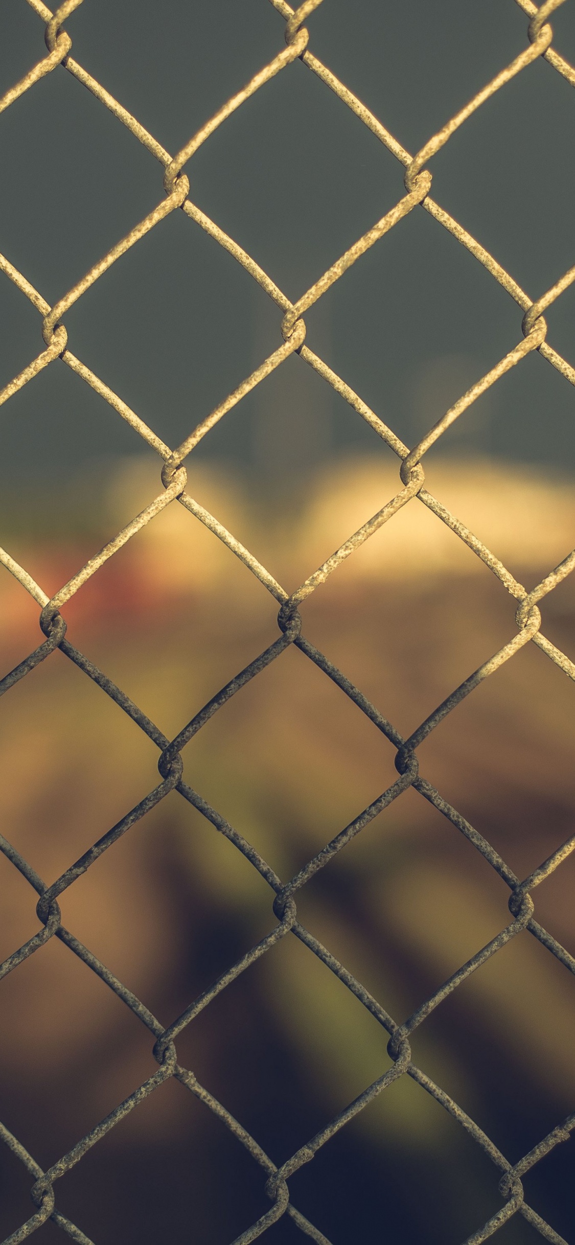 丝围栏, 光, 栅栏, 链击剑 壁纸 1125x2436 允许