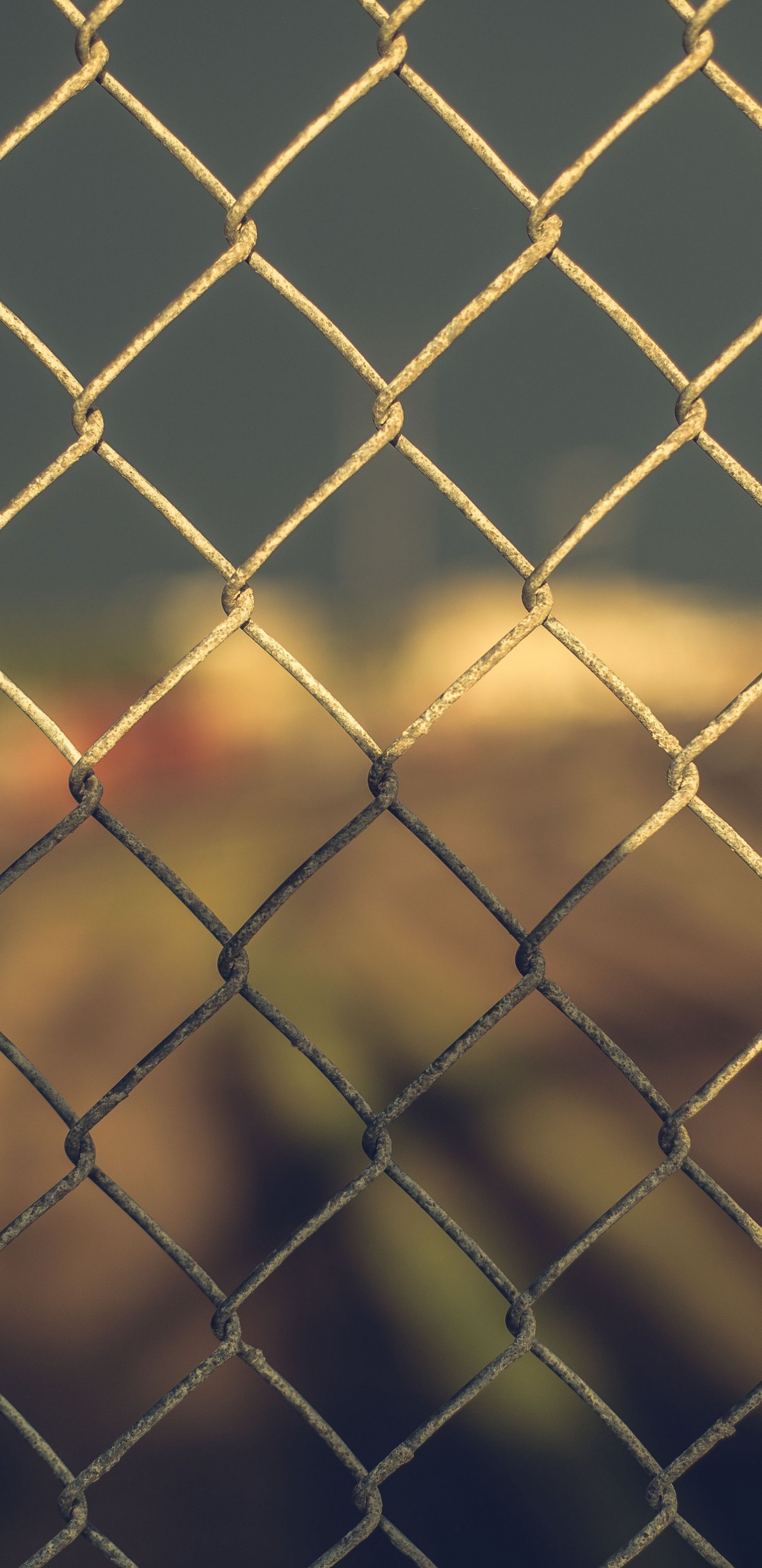 Grauer Metallzaun Mit Gelbem Licht. Wallpaper in 1440x2960 Resolution