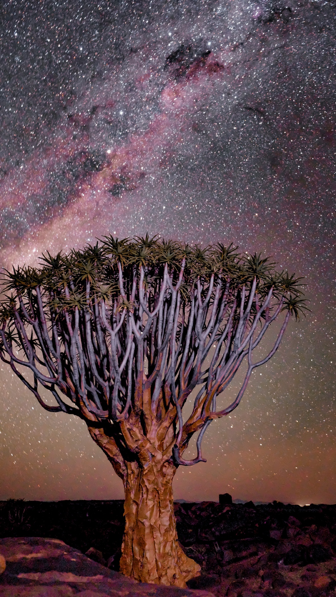 Purple, Nature, Fish River Canyon, Landscape, Quiver Tree. Wallpaper in 1080x1920 Resolution