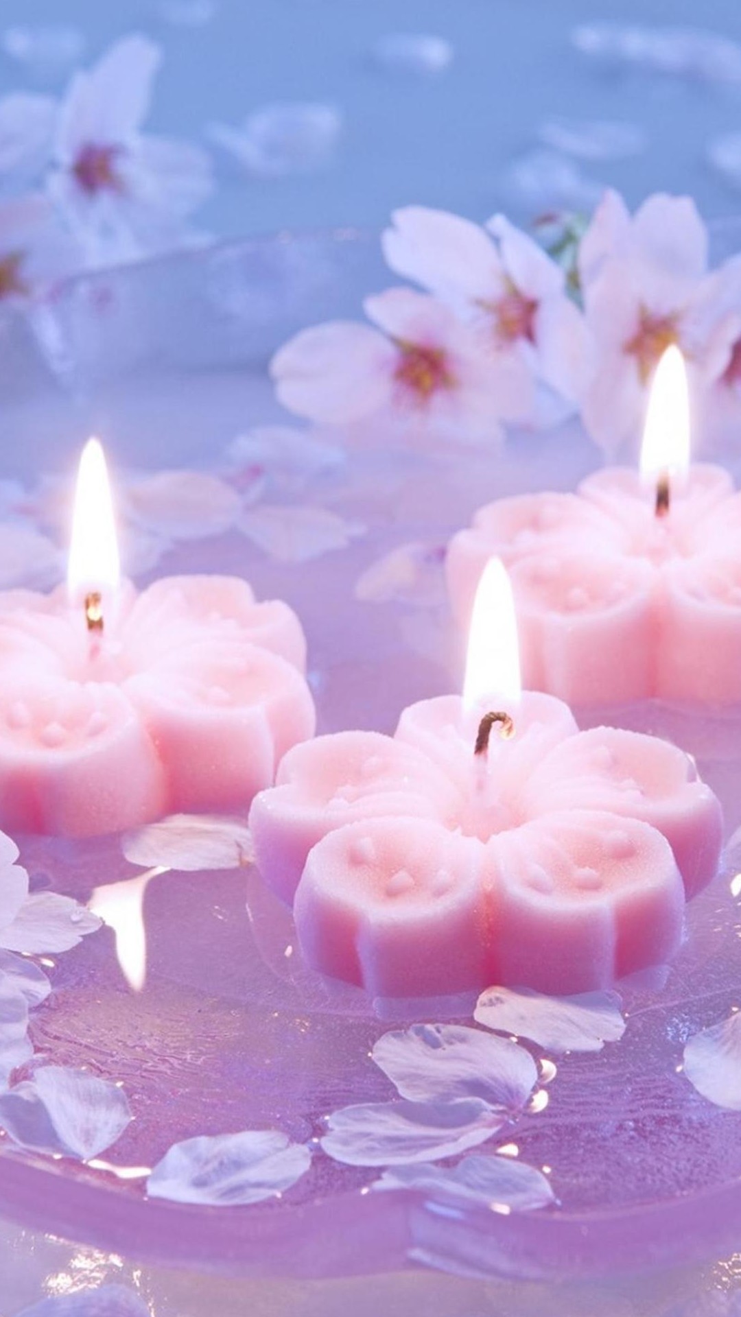 5,700+ Candle With Funeral Flowers Stock Photos, Pictures & Royalty-Free  Images - iStock