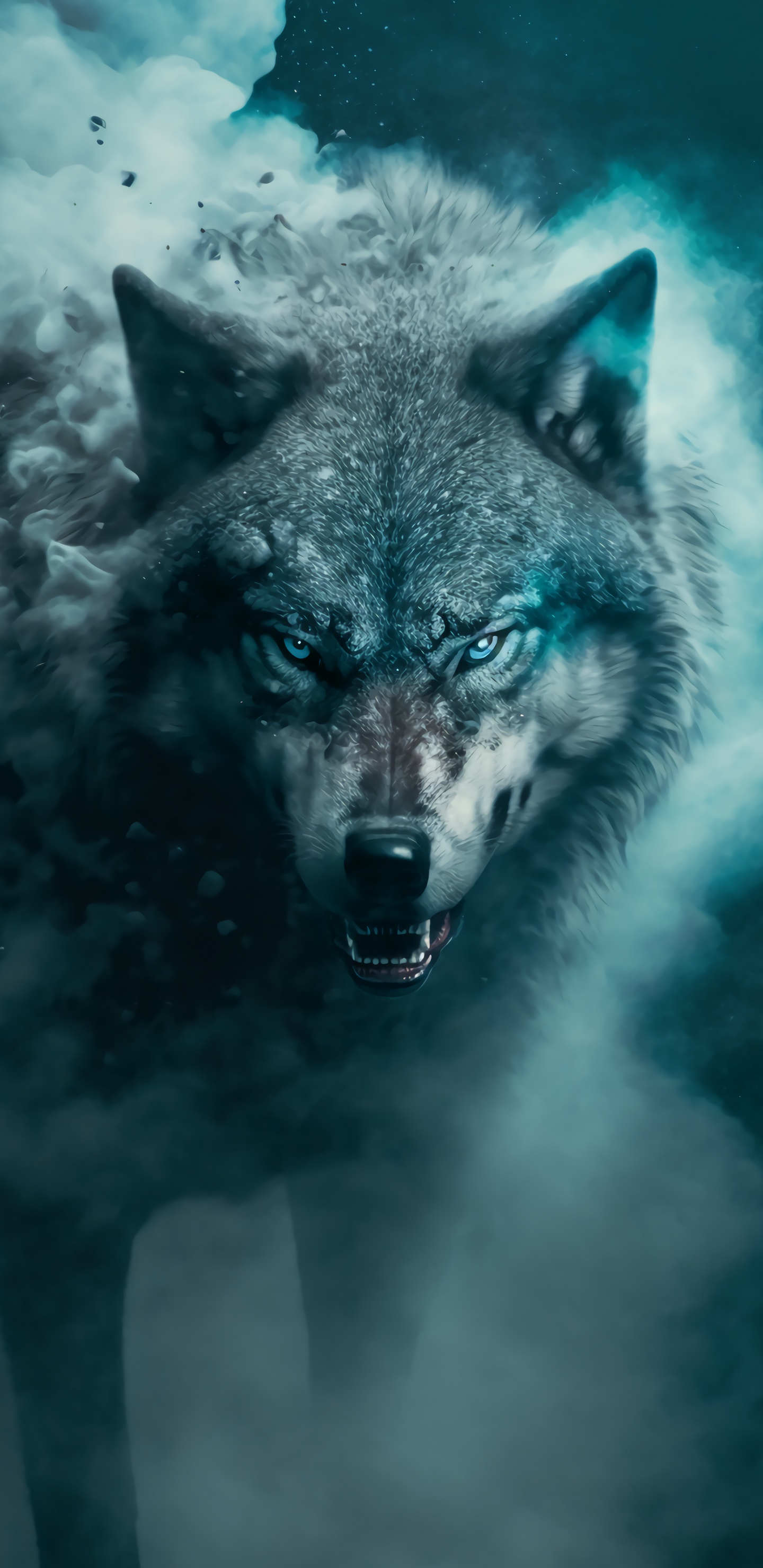 Eau, Carnivores, Azure, Moustache, Pour Les Animaux Terrestres. Wallpaper in 1440x2960 Resolution