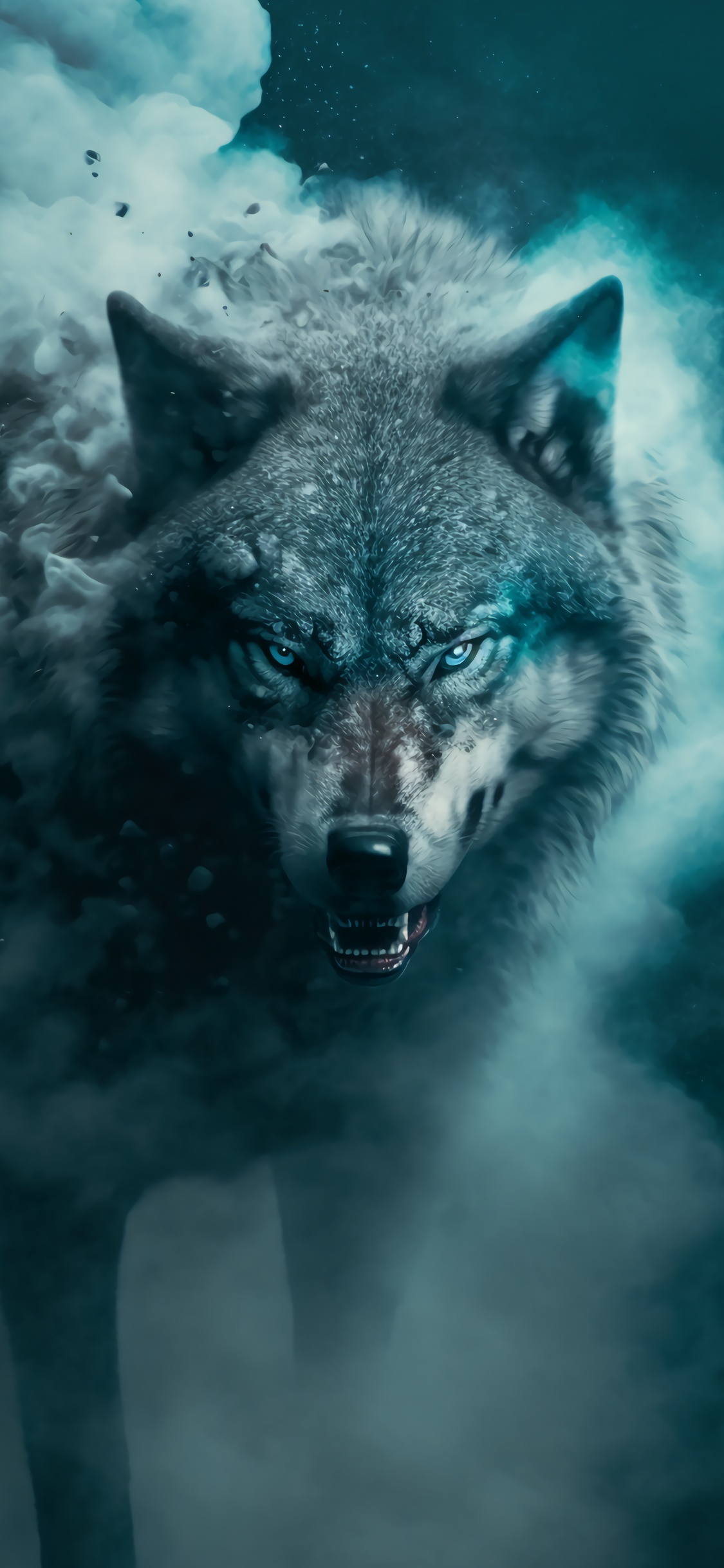 Wolf, Water, Carnivore, Azure, Whiskers. Wallpaper in 1125x2436 Resolution
