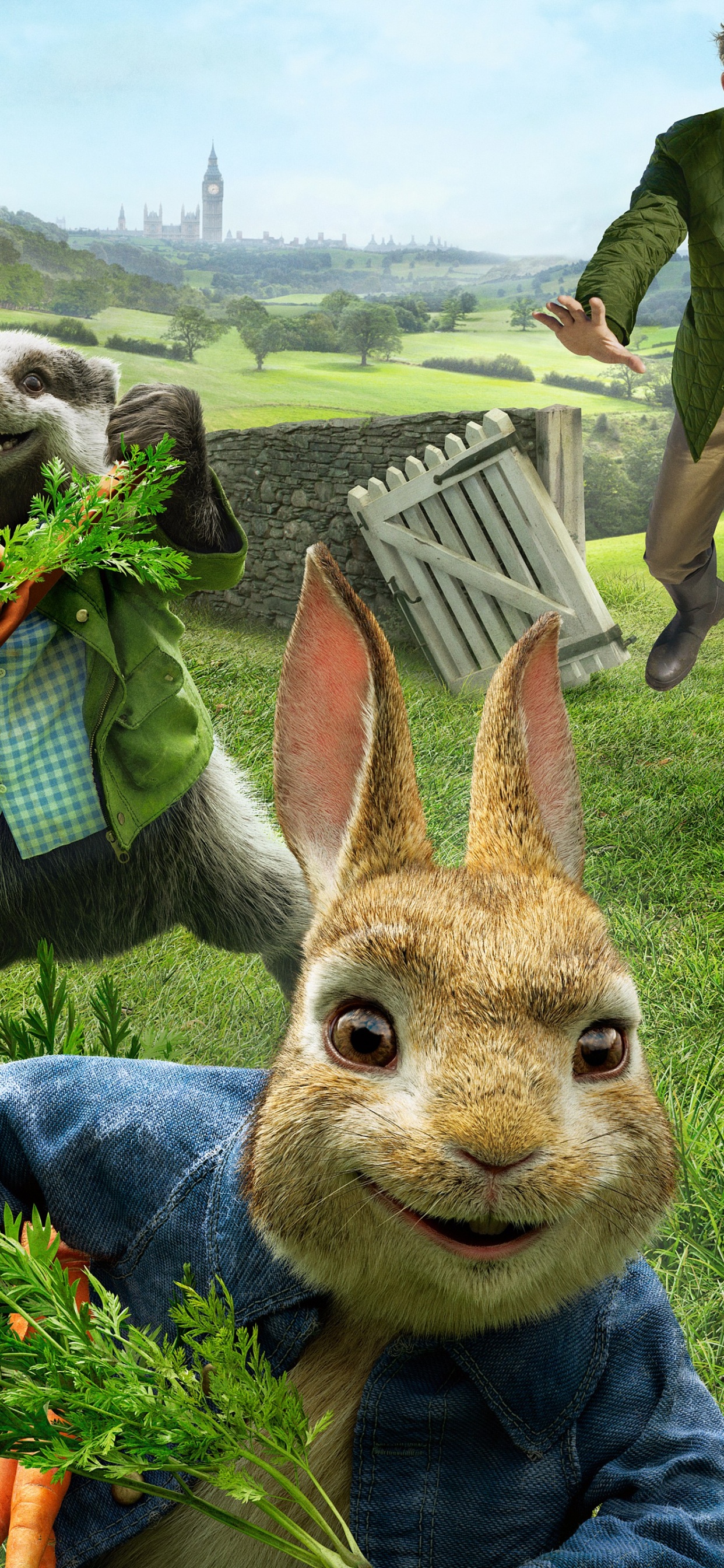 Peter Rabbit, Will Gluck, The Tale of Peter Rabbit, Thomas Mcgregor, Childrens Film. Wallpaper in 1242x2688 Resolution