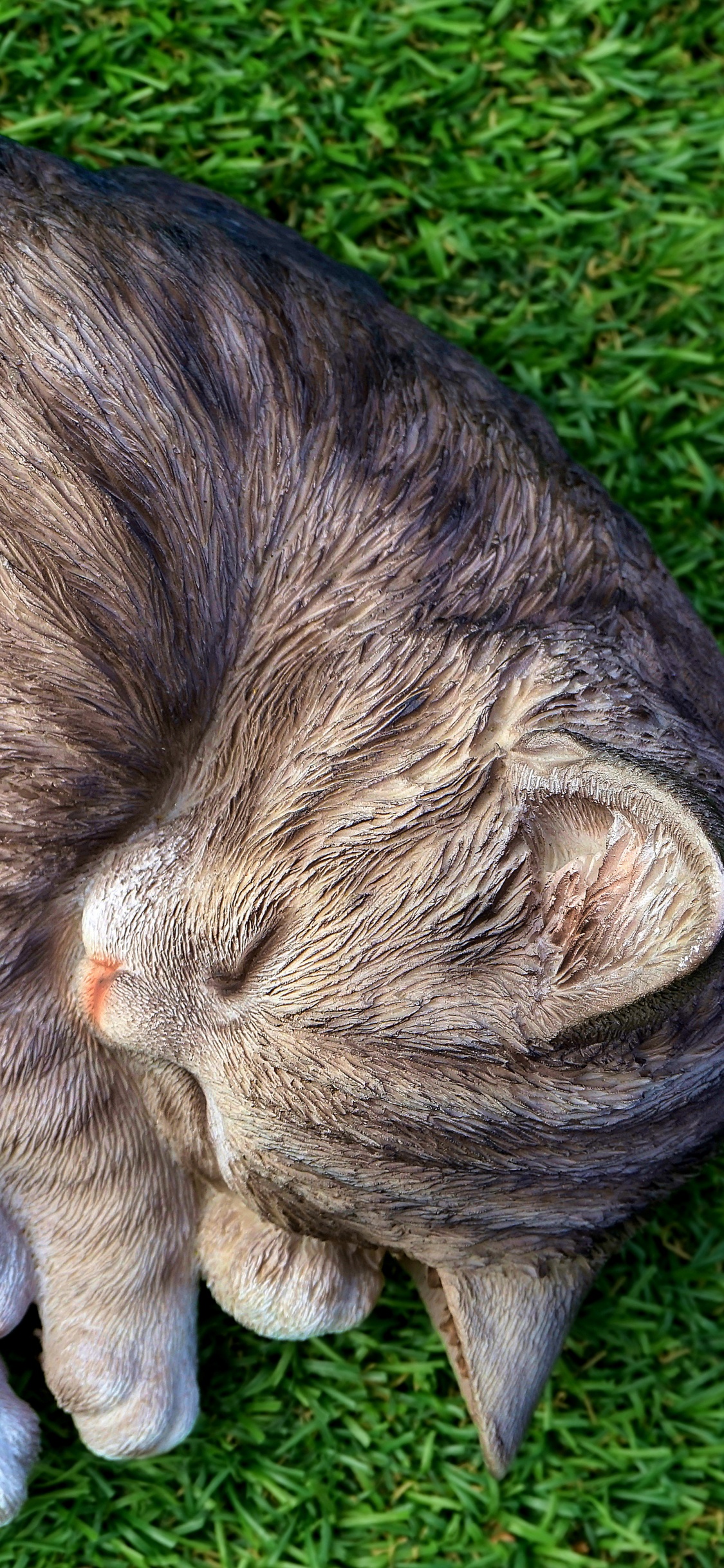 Chat Tigré Brun Allongé Sur L'herbe Verte. Wallpaper in 1125x2436 Resolution