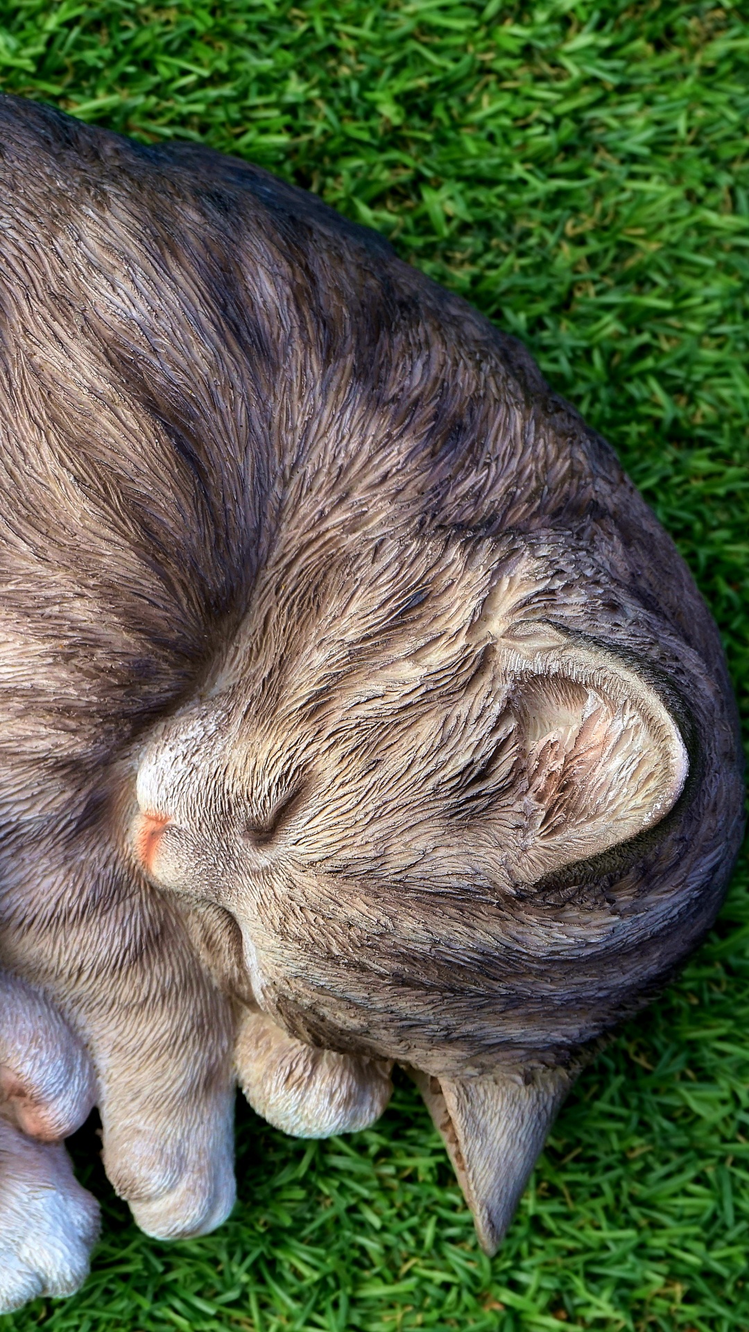 Braun Getigerte Katze Liegt Auf Grünem Gras. Wallpaper in 1080x1920 Resolution