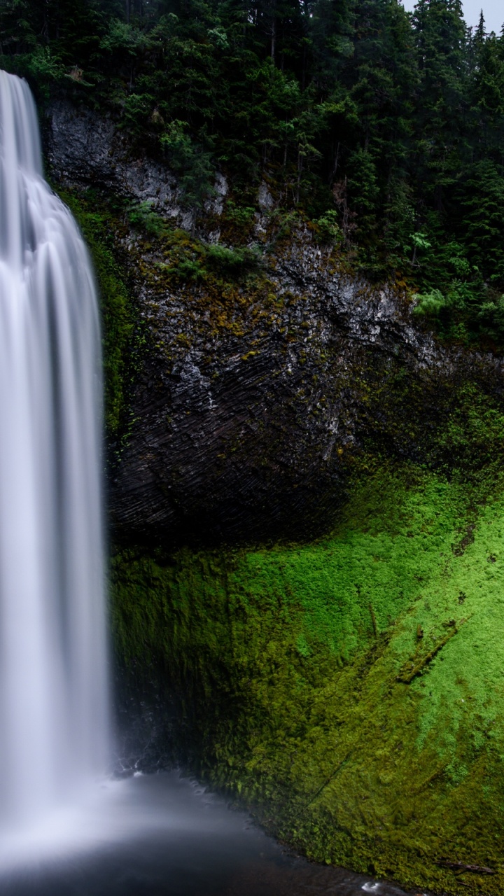 Árboles Verdes Cerca de Cascadas Durante el Día. Wallpaper in 720x1280 Resolution