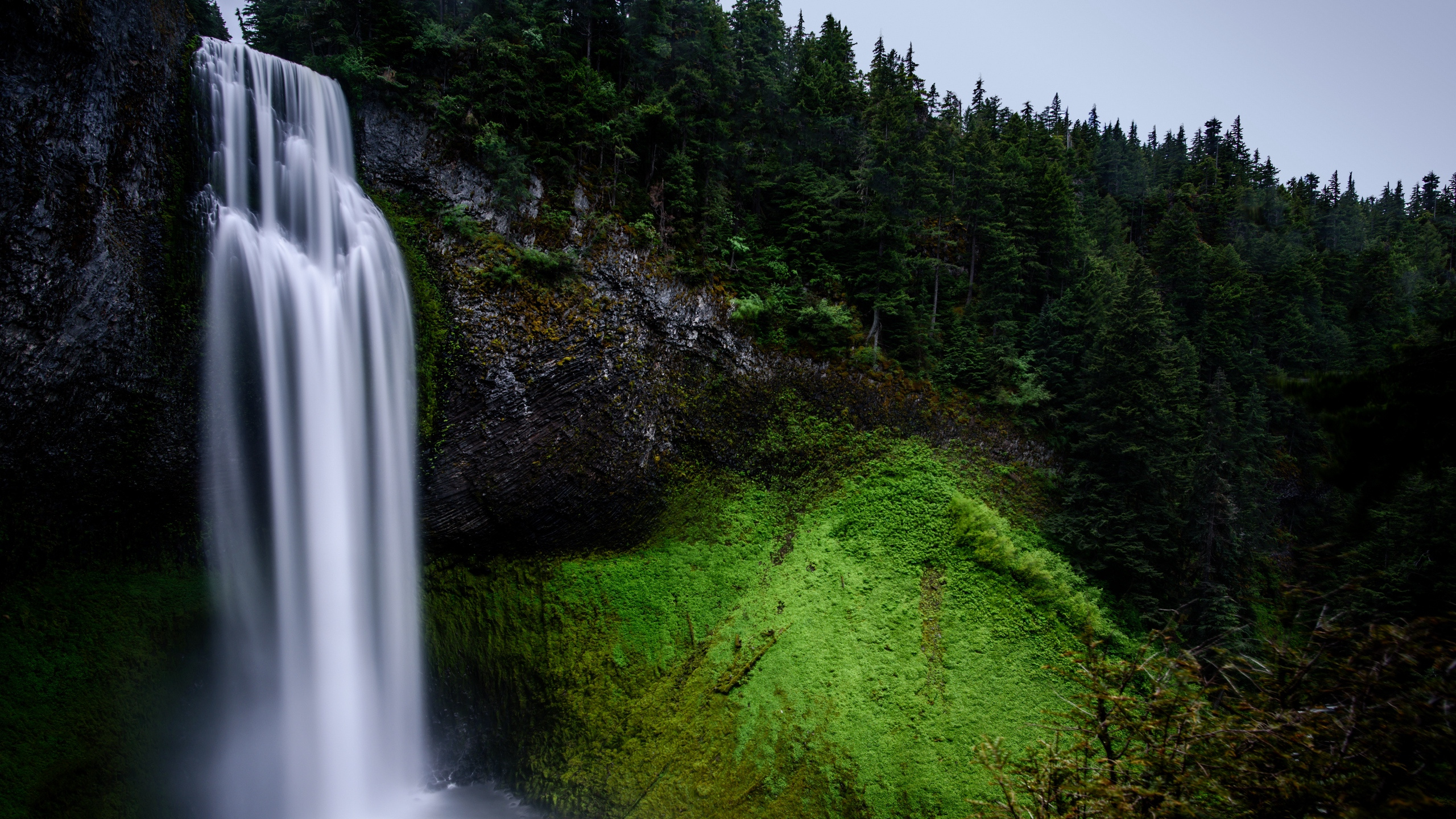 Green Trees Near Waterfalls During Daytime. Wallpaper in 2560x1440 Resolution
