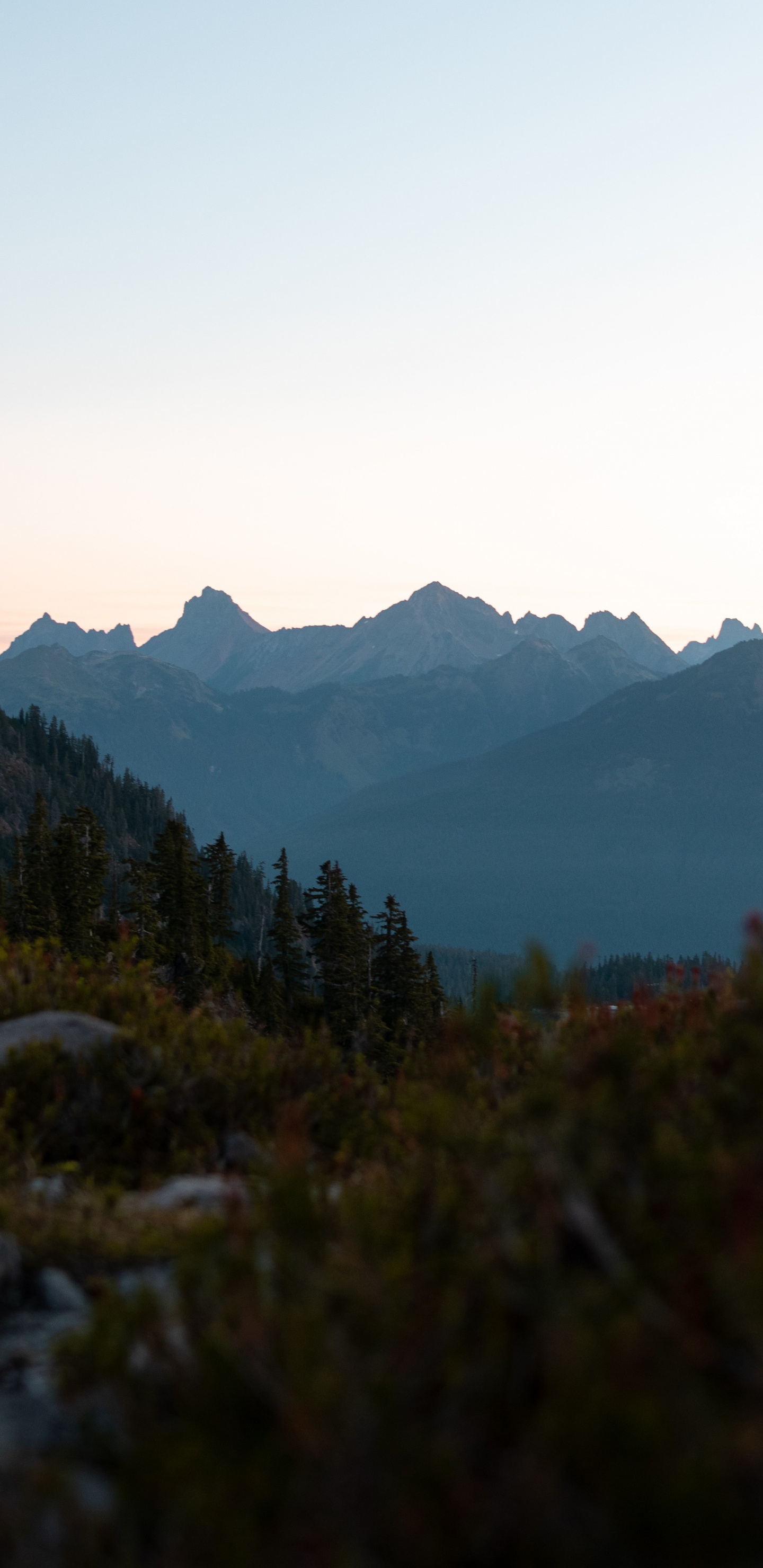 Mountain Range, Mountainous Landforms, Ridge, Mount Baker, Leaf. Wallpaper in 1440x2960 Resolution