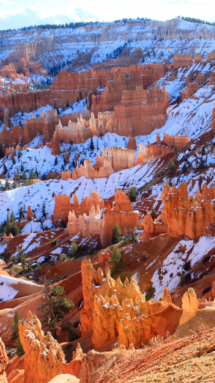 Green Tree Near Brown Rock Formation During Daytime. Wallpaper in 750x1334 Resolution