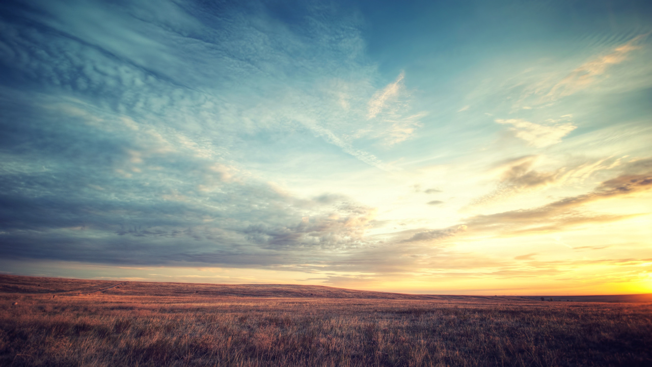 Brown Grass Field Under Blue Sky During Daytime. Wallpaper in 1280x720 Resolution