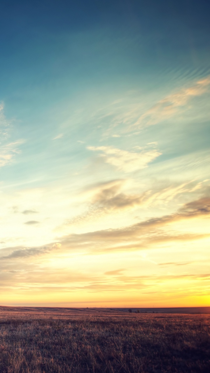 Champ D'herbe Brune Sous Ciel Bleu Pendant la Journée. Wallpaper in 720x1280 Resolution