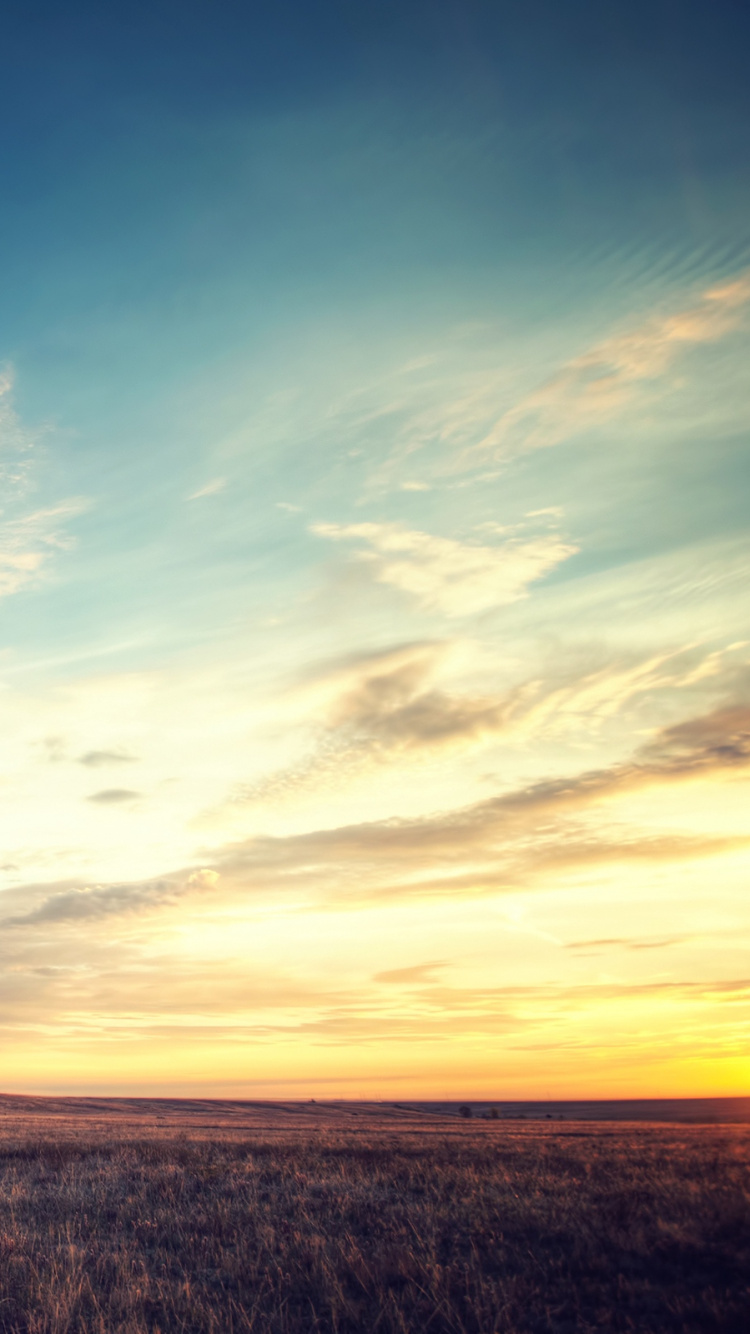Champ D'herbe Brune Sous Ciel Bleu Pendant la Journée. Wallpaper in 750x1334 Resolution