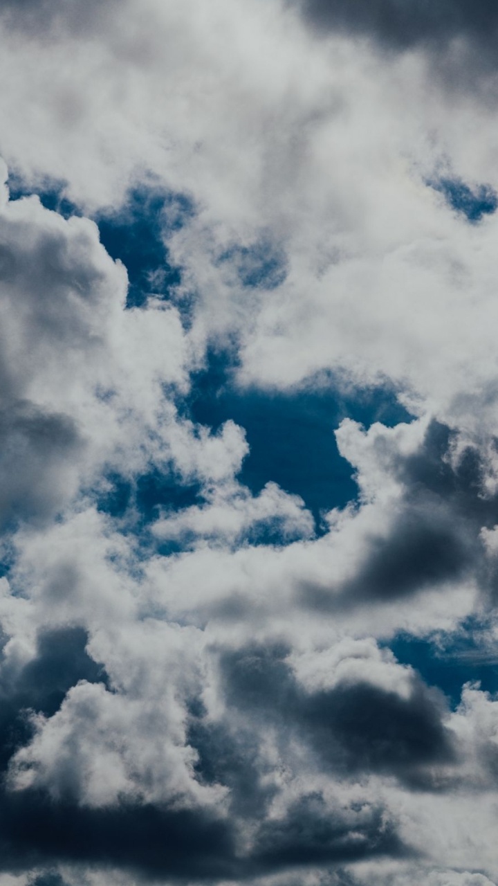 Cloud, Atmosphere, Blue, Cumulus, Tree. Wallpaper in 720x1280 Resolution