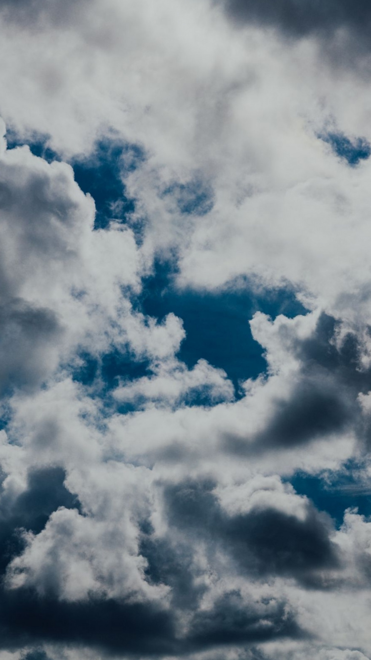 Cloud, Atmosphere, Blue, Cumulus, Tree. Wallpaper in 750x1334 Resolution