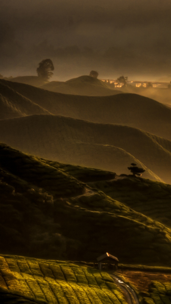 气氛, 生态区, 橙色, 余辉, 自然景观 壁纸 720x1280 允许