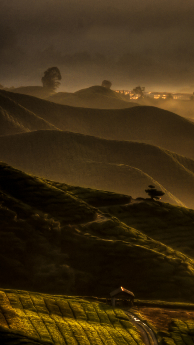 气氛, 生态区, 橙色, 余辉, 自然景观 壁纸 750x1334 允许