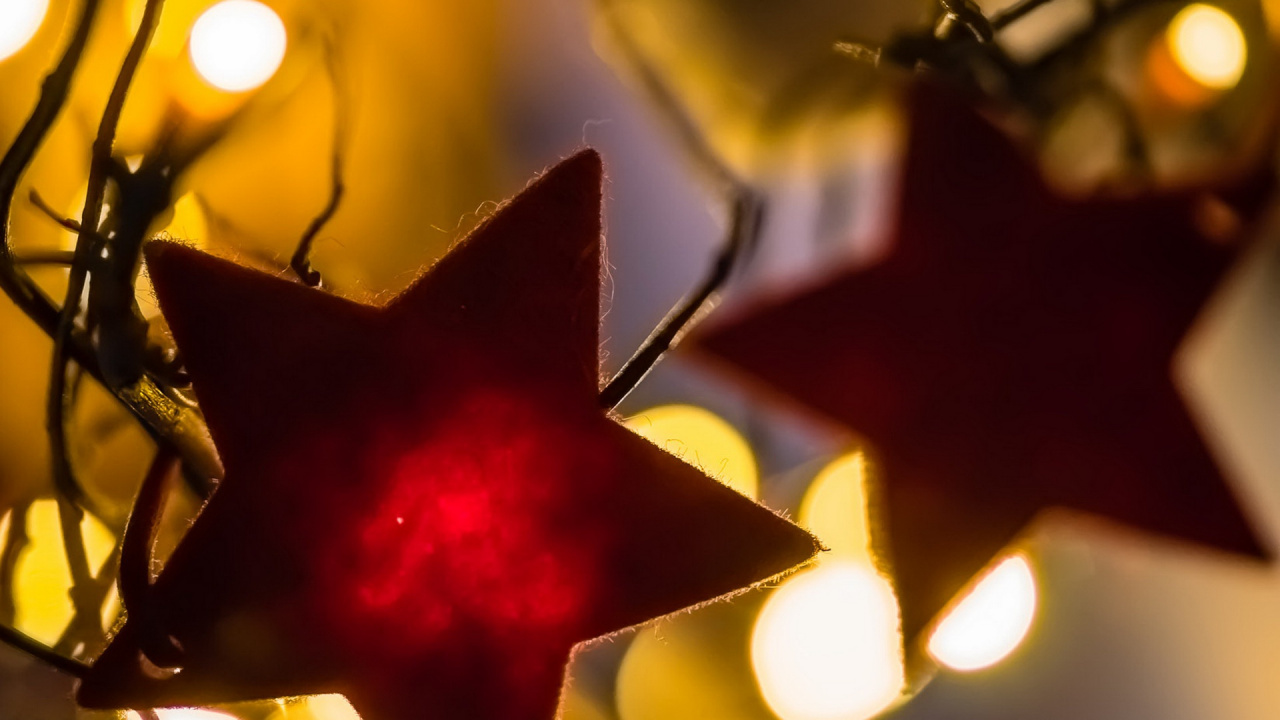 Blatt, Licht, Branch, Close Up, Zweig. Wallpaper in 1280x720 Resolution