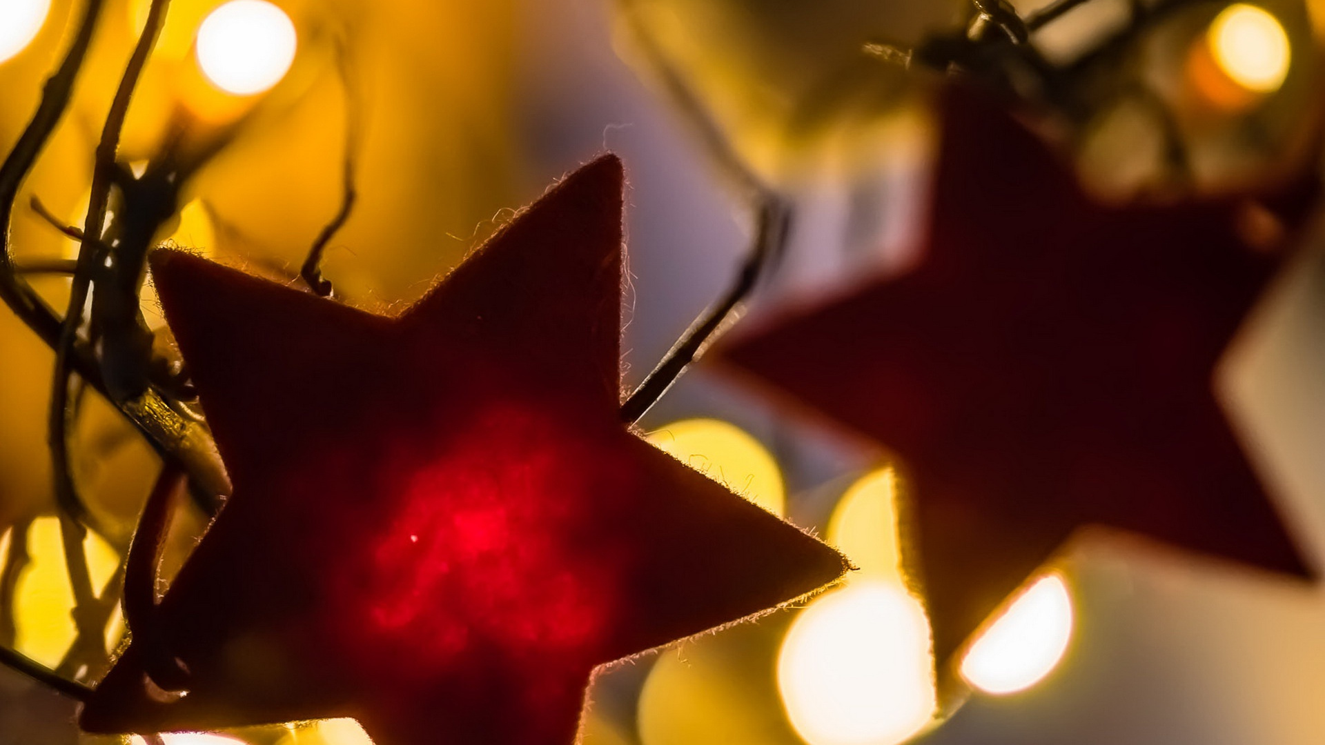 Blatt, Licht, Branch, Close Up, Zweig. Wallpaper in 1920x1080 Resolution