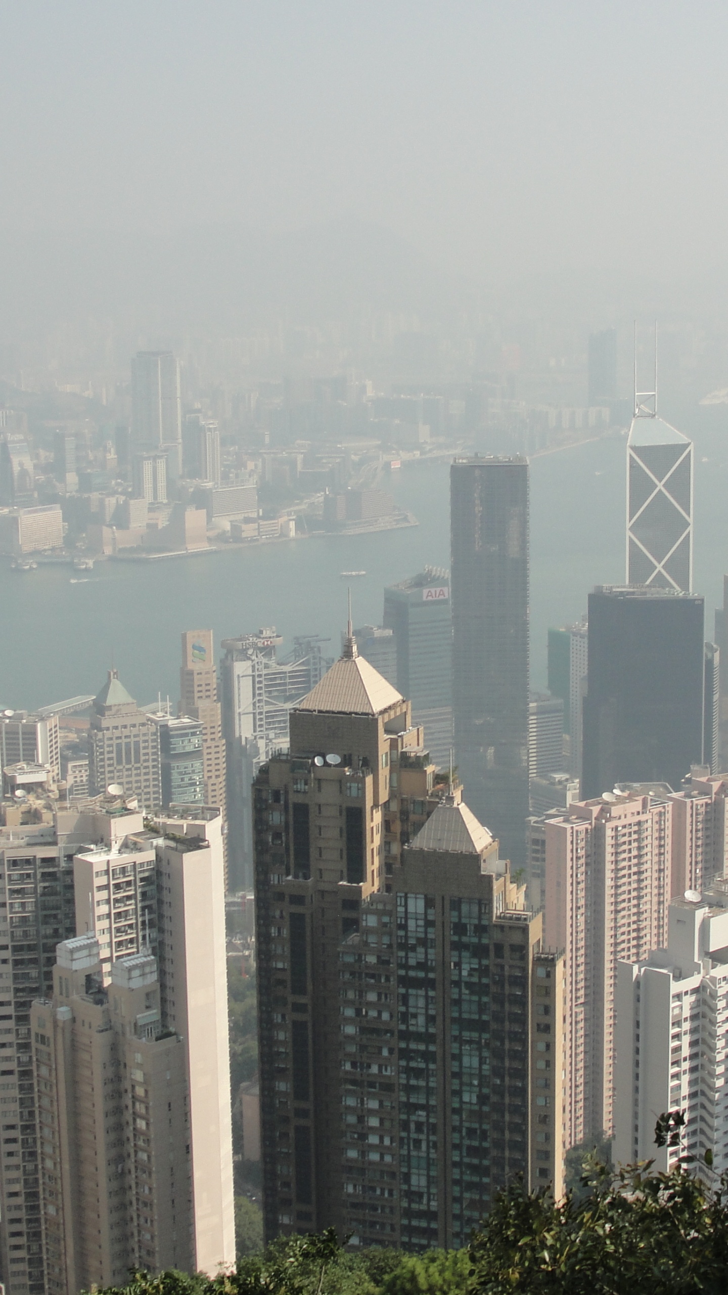 High Rise Buildings During Daytime. Wallpaper in 1440x2560 Resolution