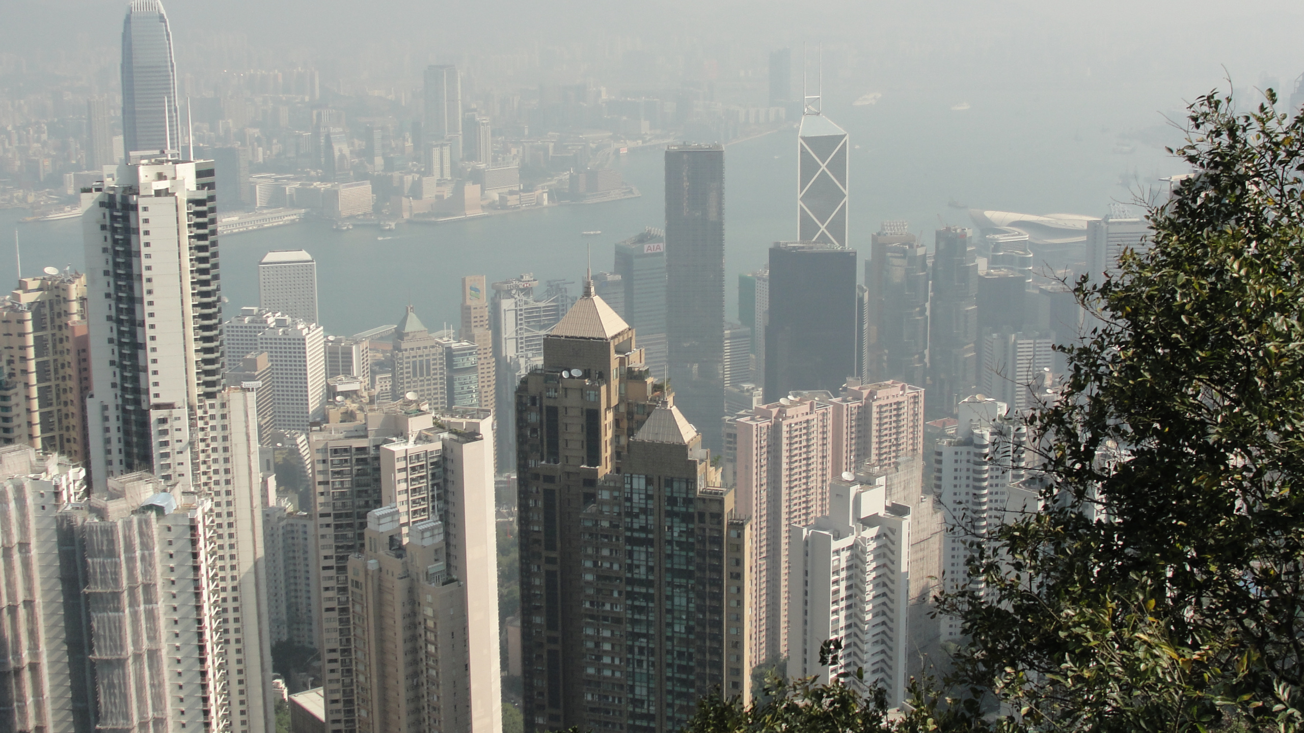 High Rise Buildings During Daytime. Wallpaper in 2560x1440 Resolution