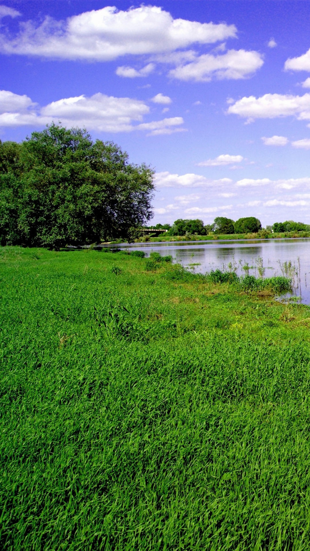 Campo de Hierba Verde Cerca Del Lago Bajo un Cielo Azul Durante el Día. Wallpaper in 1080x1920 Resolution