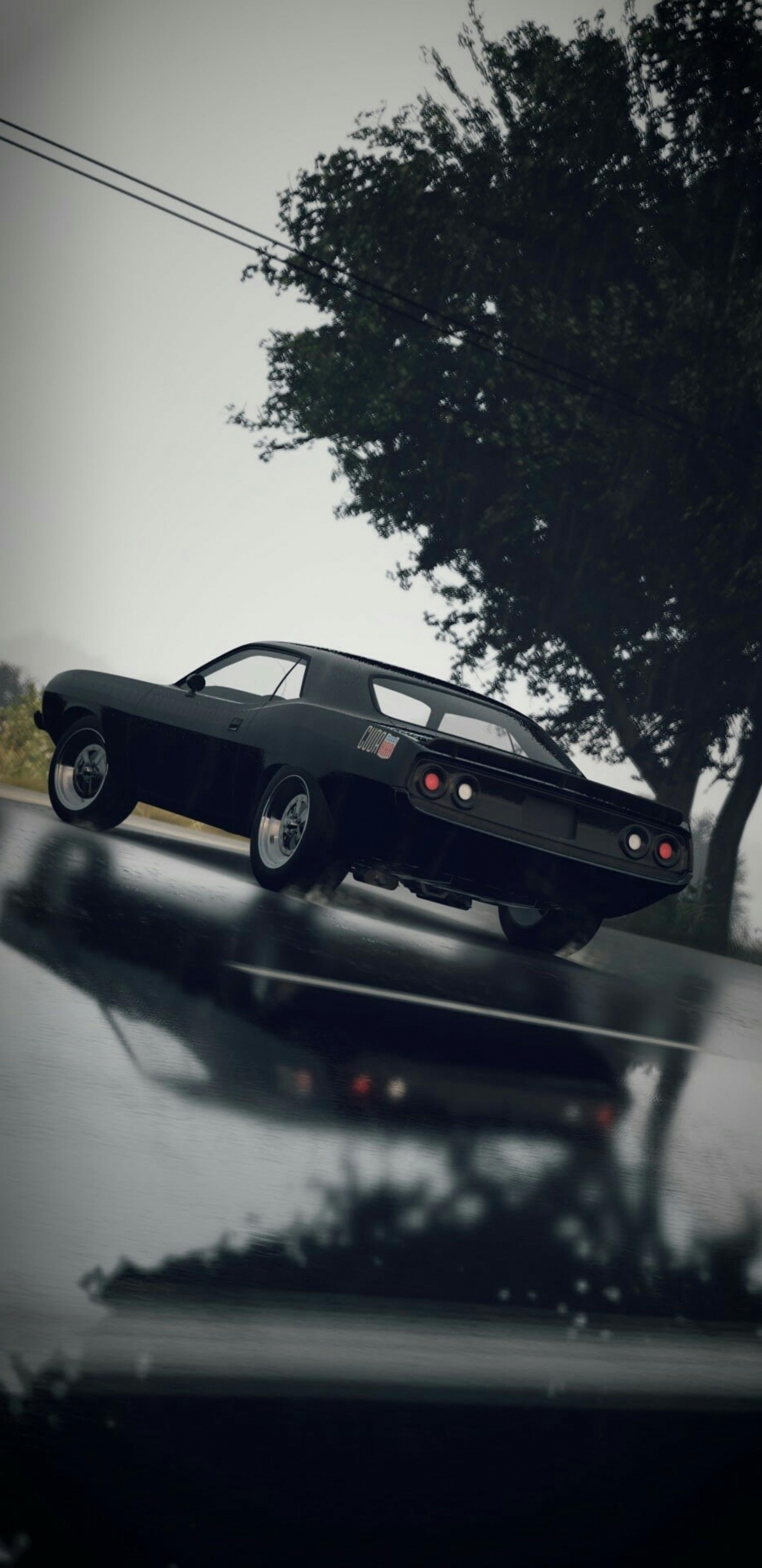 Voitures Rapides et Furieuses, Dodge, de Voiture de Muscle, Voiture de Collection, Pneu. Wallpaper in 1440x2960 Resolution