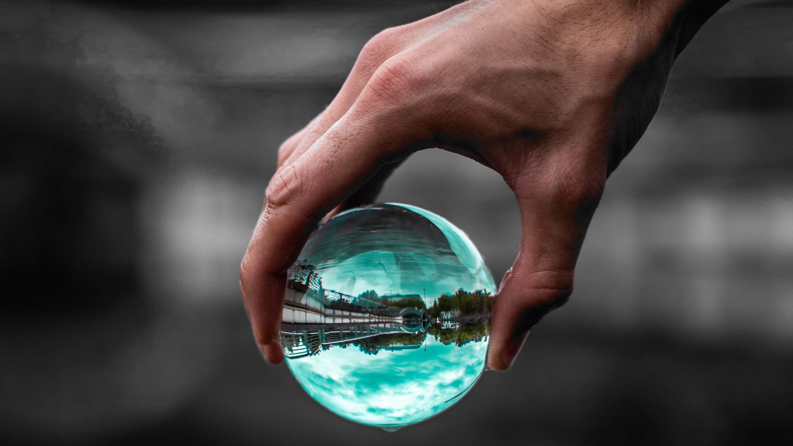 Personne Tenant Une Boule de Verre Transparent. Wallpaper in 2560x1440 Resolution