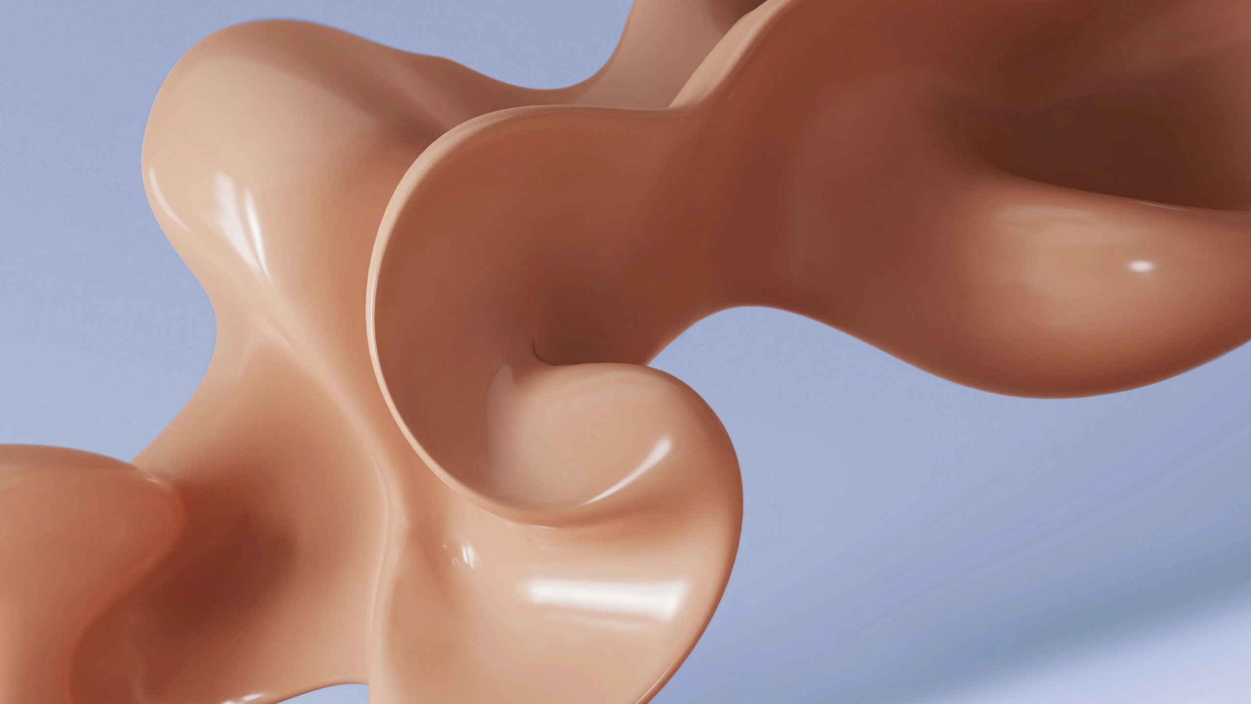 Fhd, Conjoint, Main, Bras, Corps Humain. Wallpaper in 2560x1440 Resolution