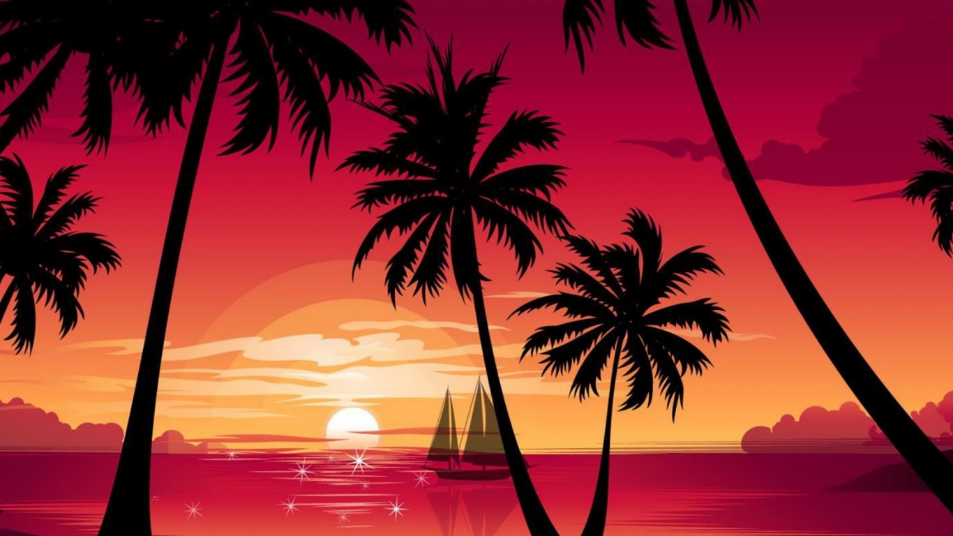 Palmier au Coucher du Soleil Avec Coucher de Soleil. Wallpaper in 1366x768 Resolution