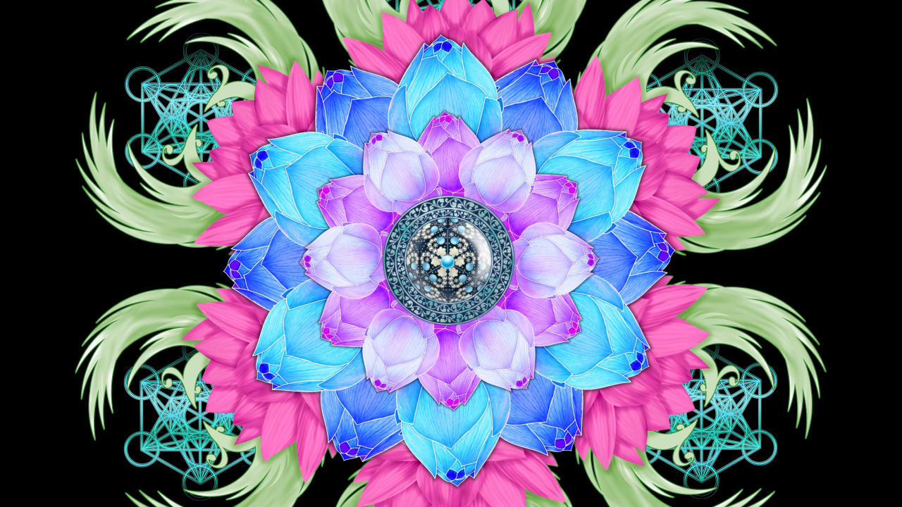 Illustration de Fleur Violette et Blanche. Wallpaper in 1280x720 Resolution