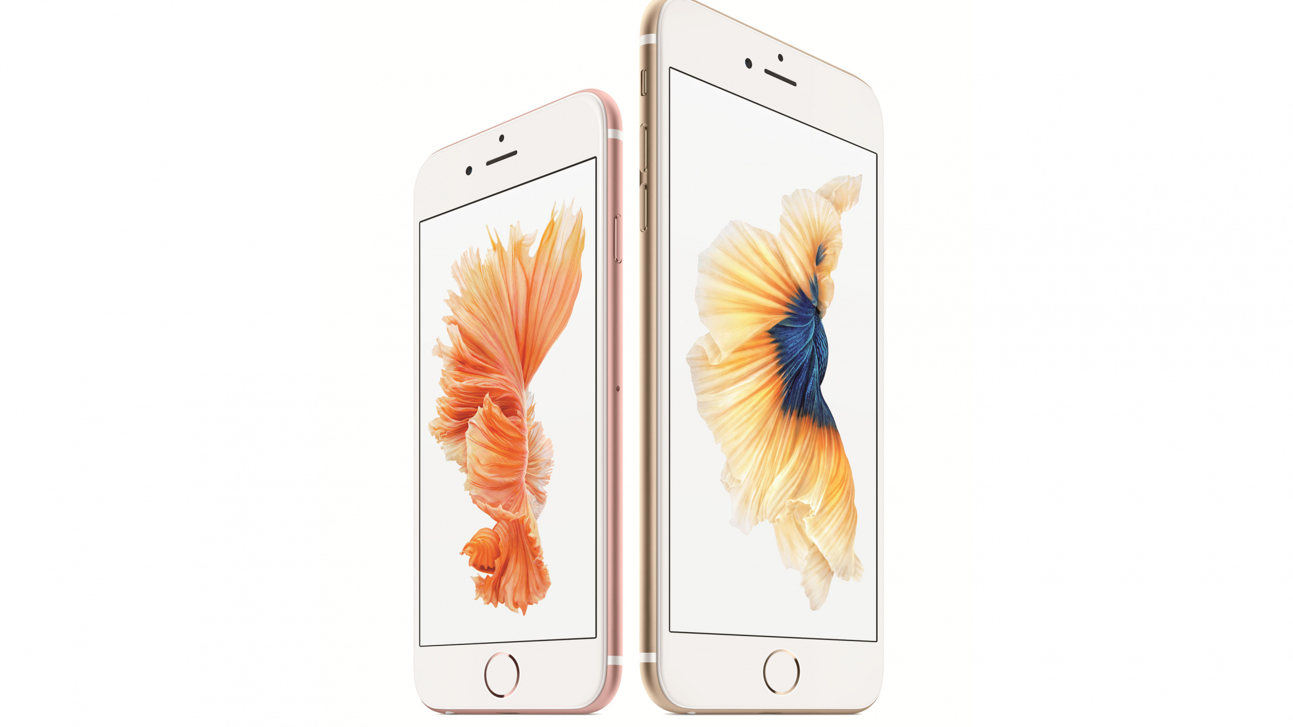 Goldenes IPhone 6 Mit Weißem Hintergrund. Wallpaper in 2560x1440 Resolution