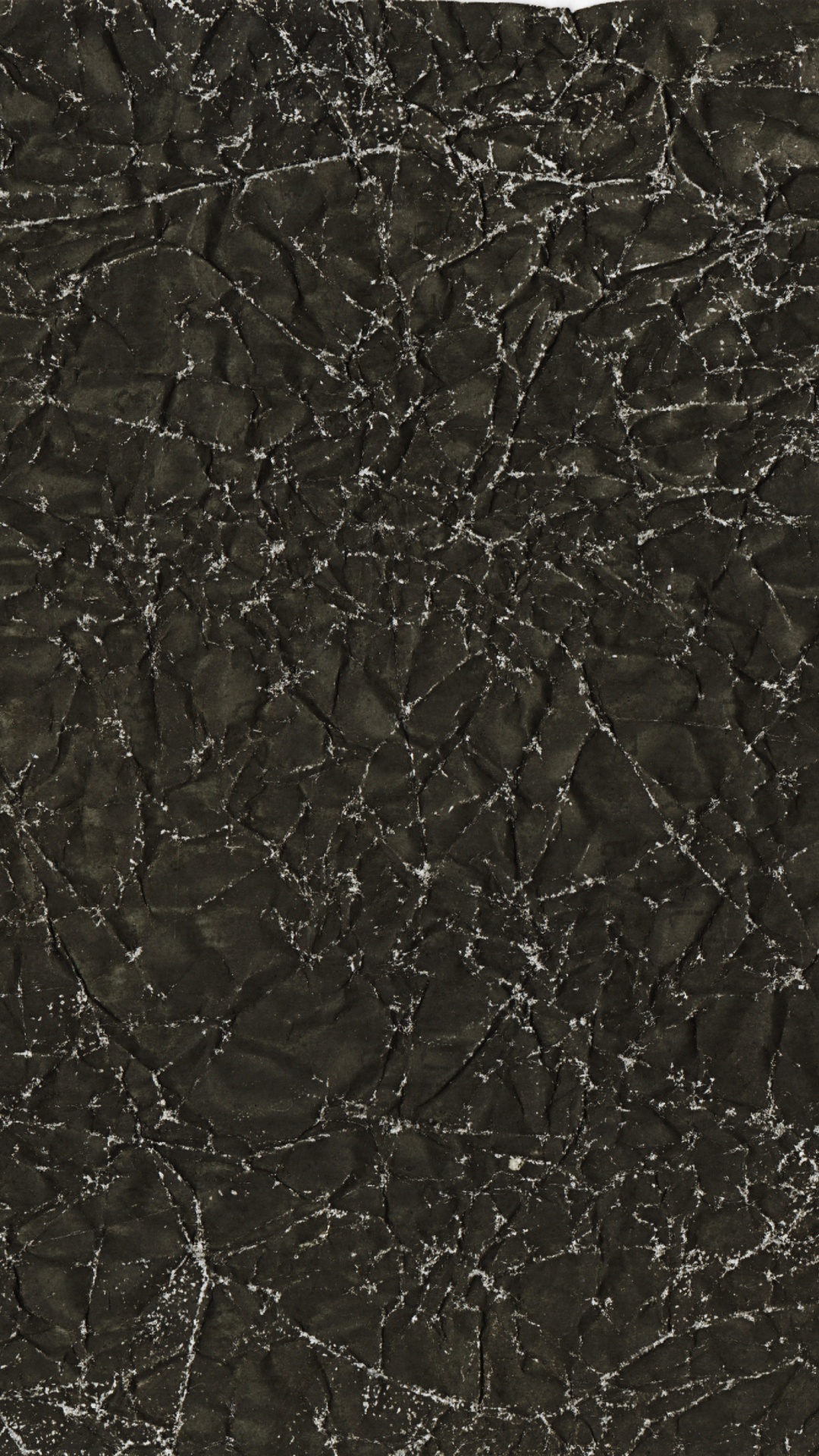 Schwarz-weißes Florales Textil. Wallpaper in 1080x1920 Resolution