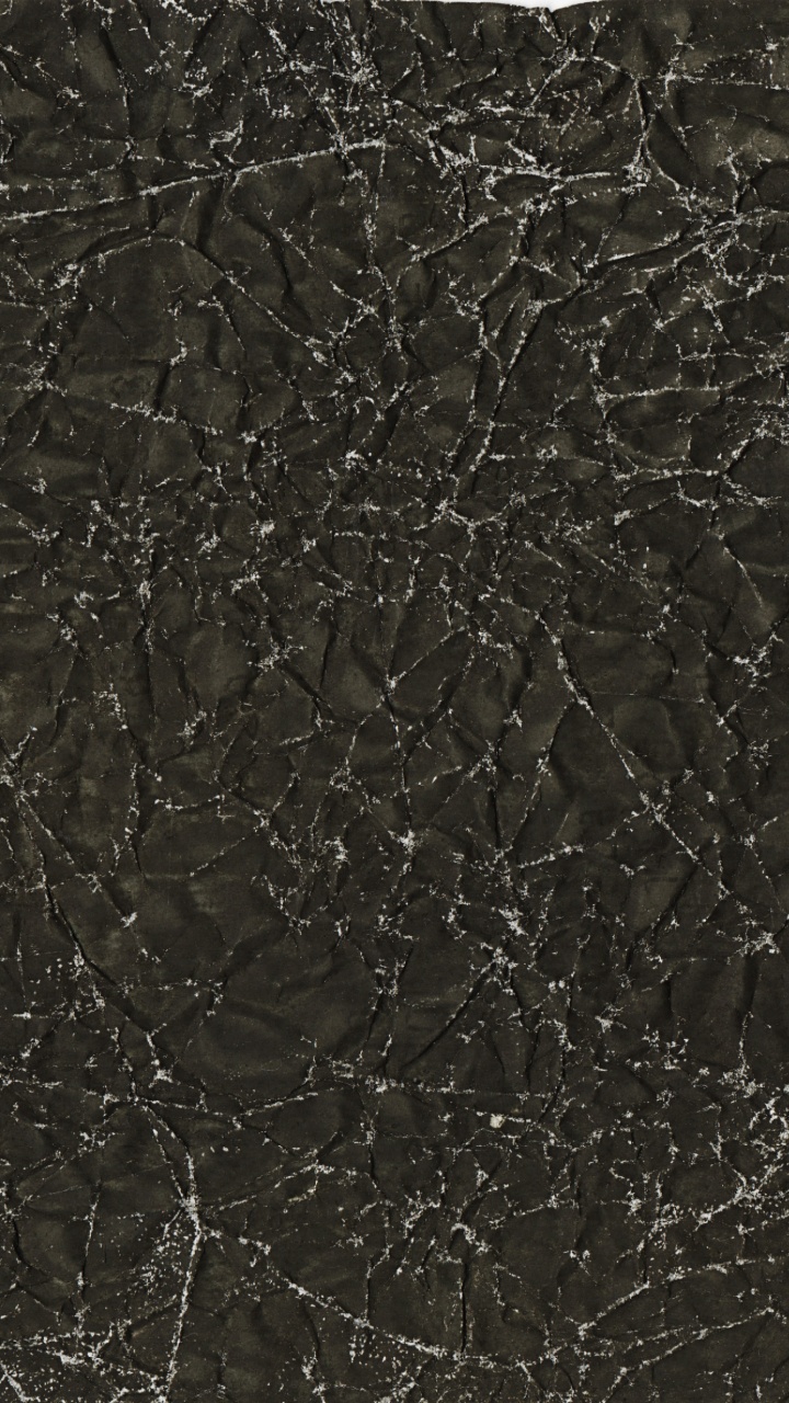 Schwarz-weißes Florales Textil. Wallpaper in 720x1280 Resolution